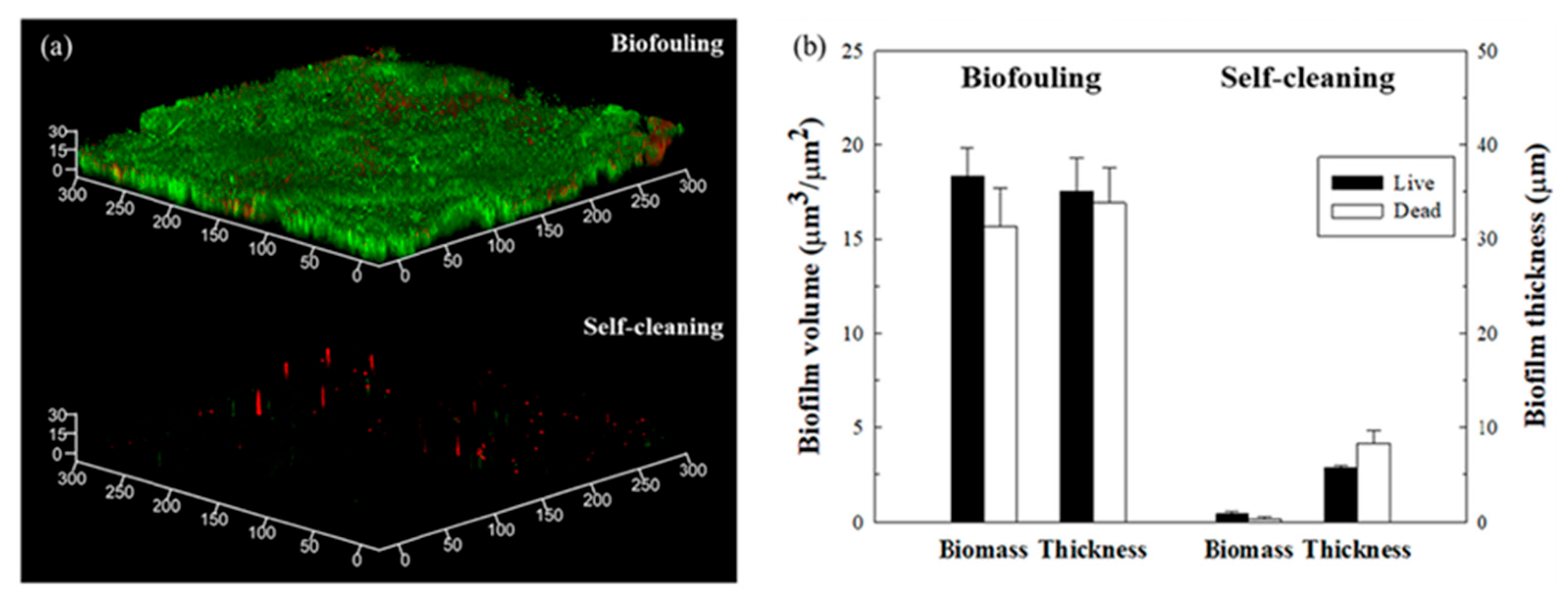 Applsci 15 01197 g015