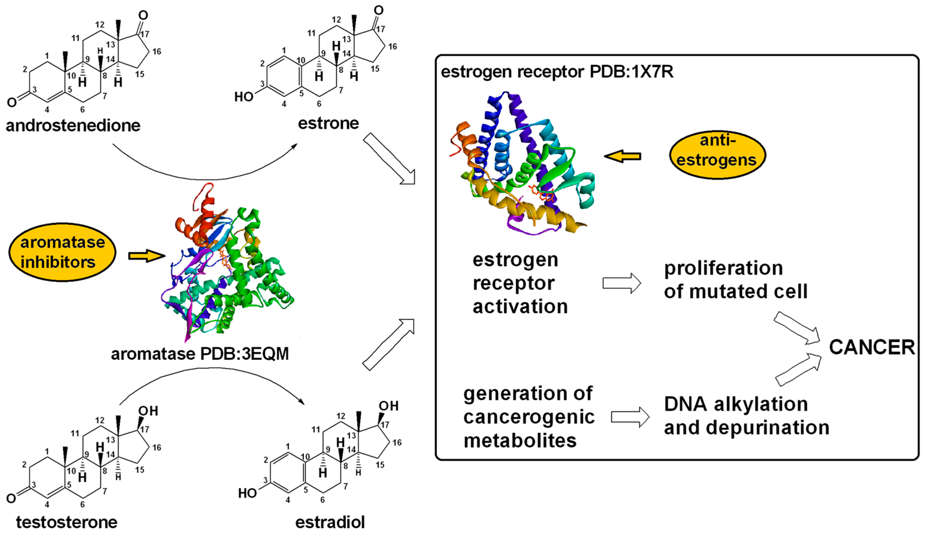 Applsci 15 01206 g004 Applsci 15 01206 g004