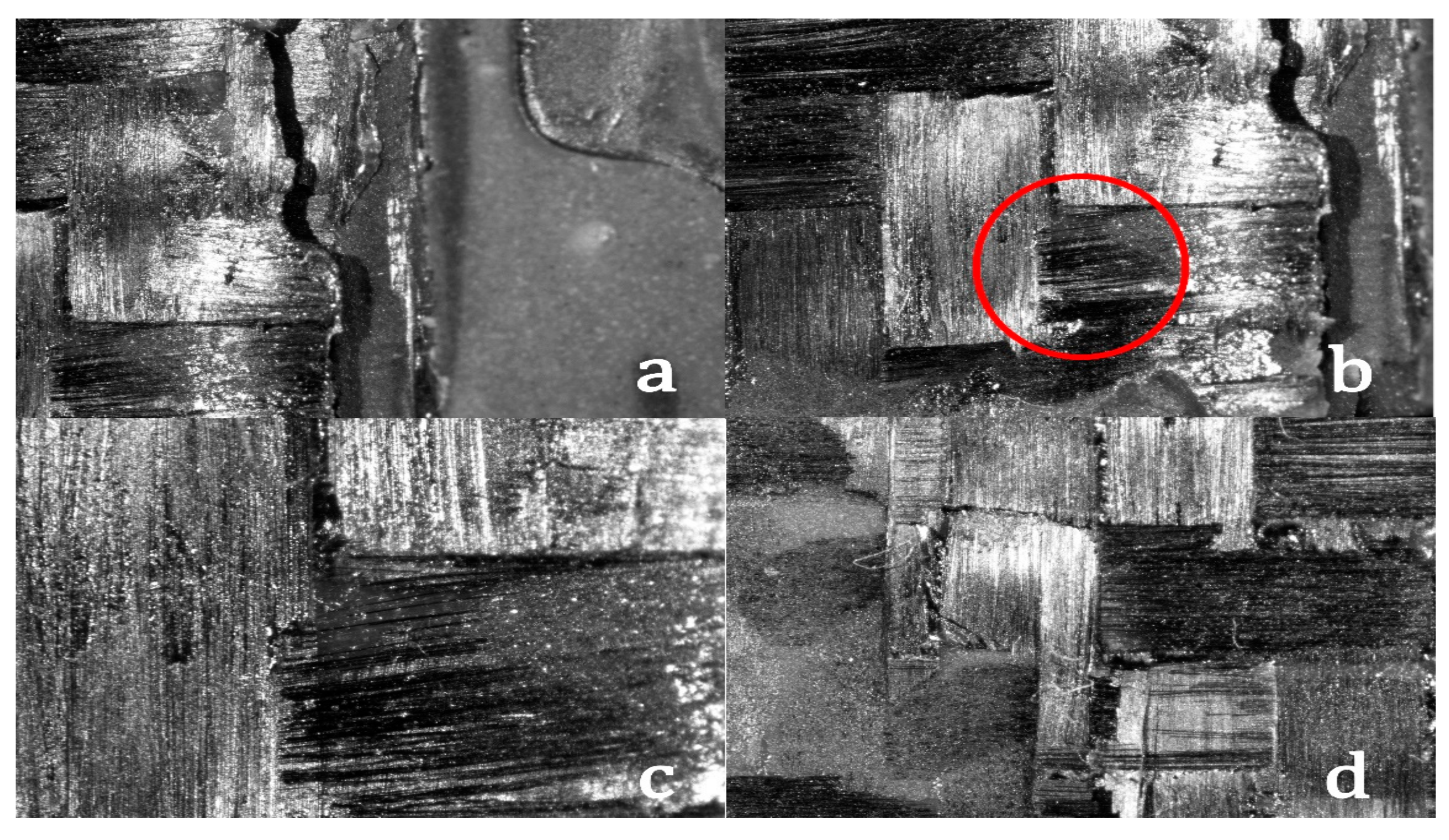 Applsci 15 01209 g019