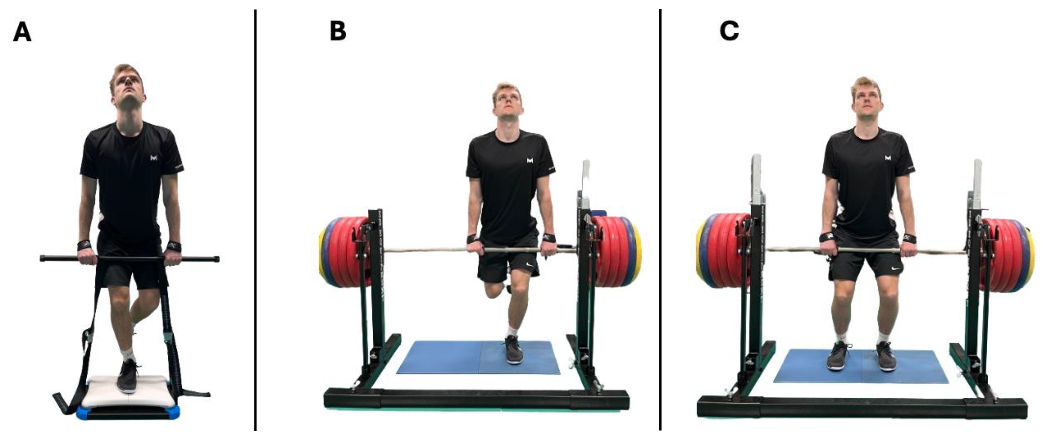 Applsci 15 01234 g002