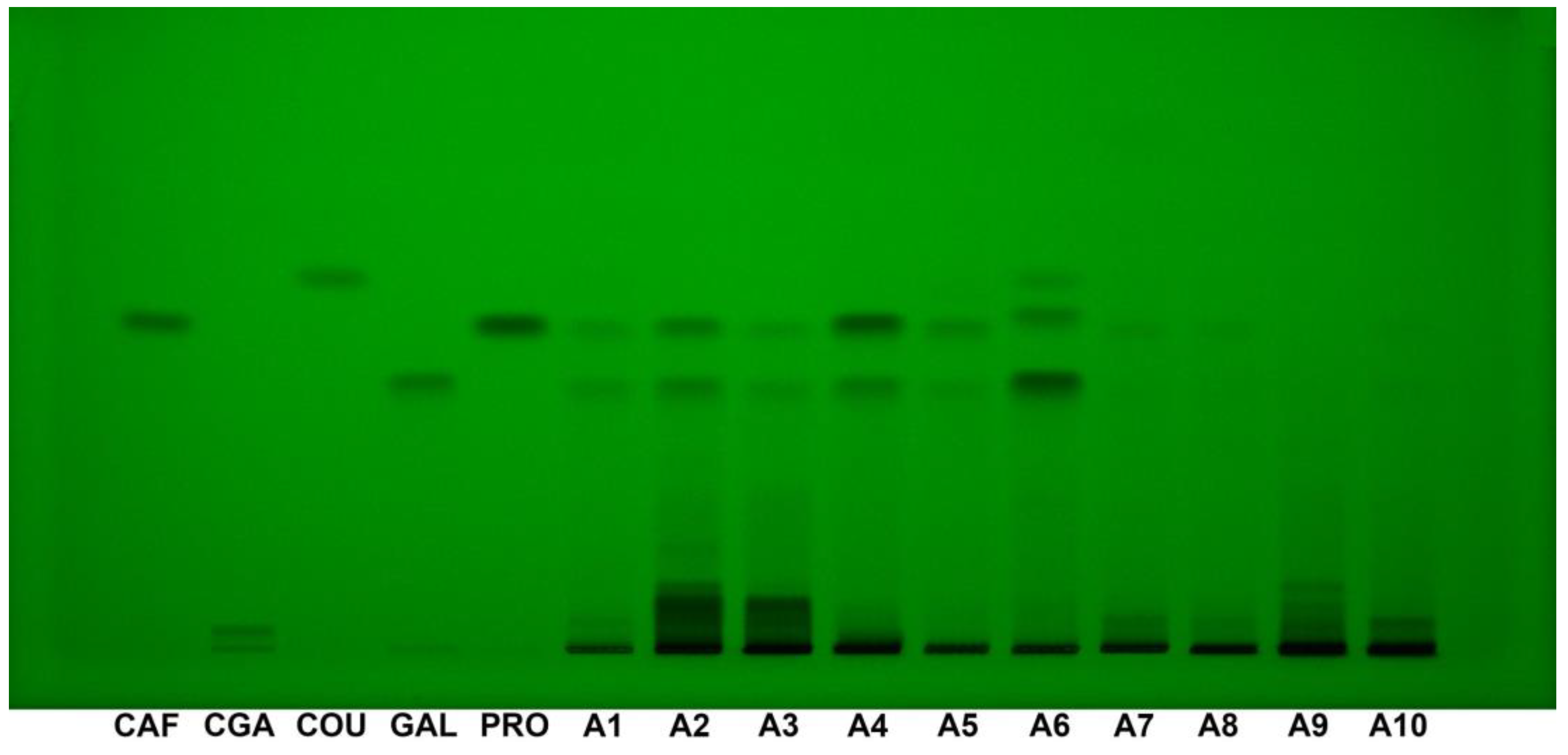 Applsci 15 01235 g003