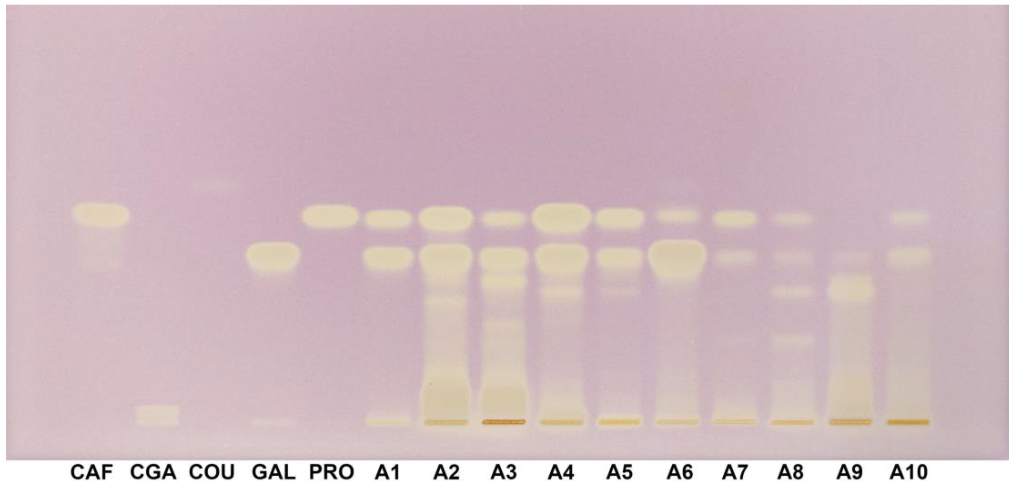 Applsci 15 01235 g005