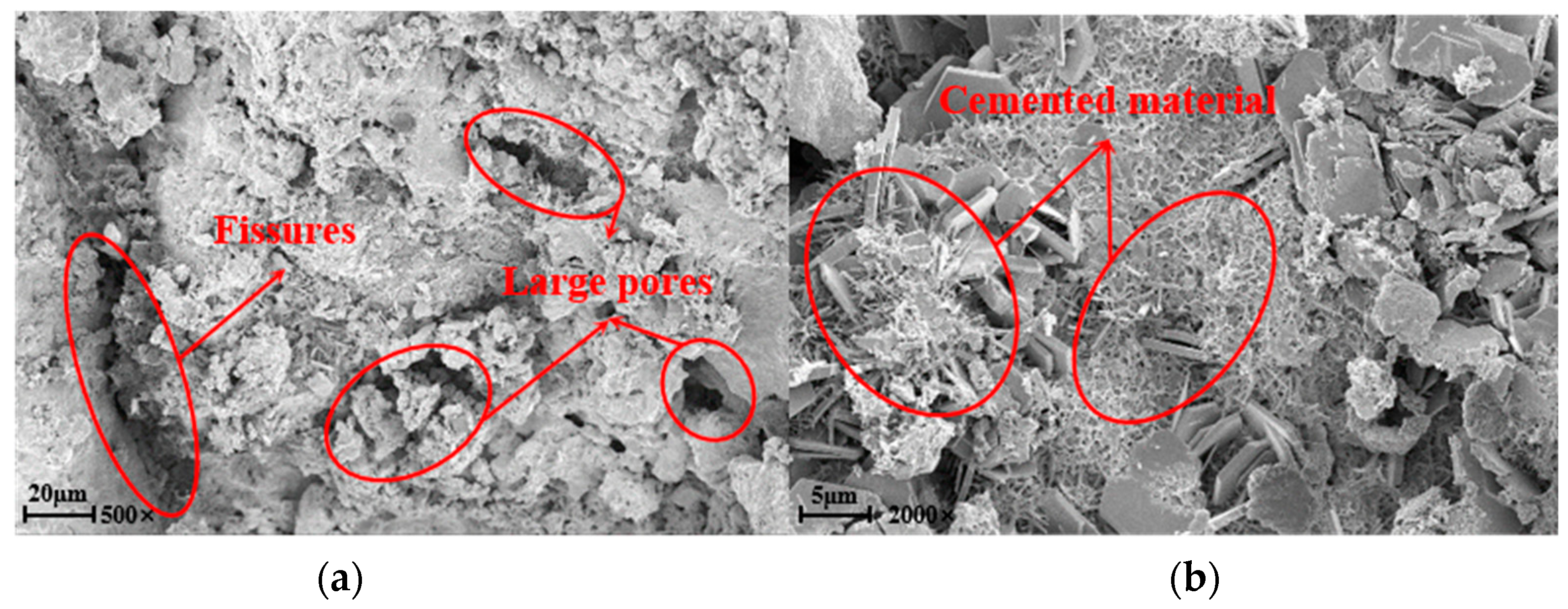 Applsci 15 01270 g011
