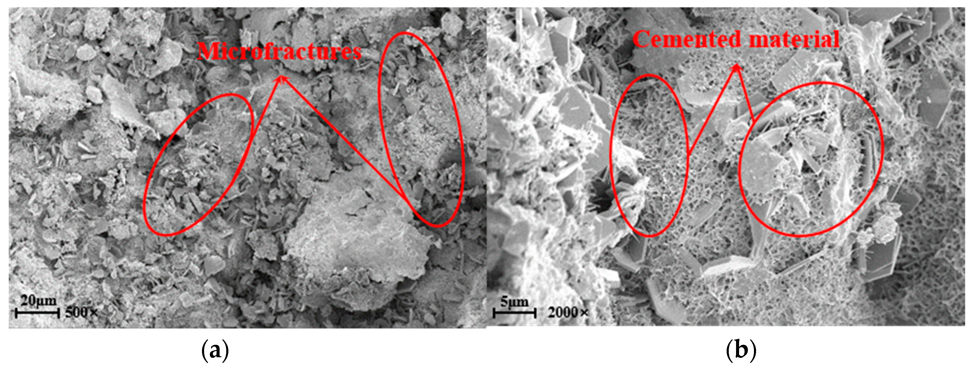 Applsci 15 01270 g012