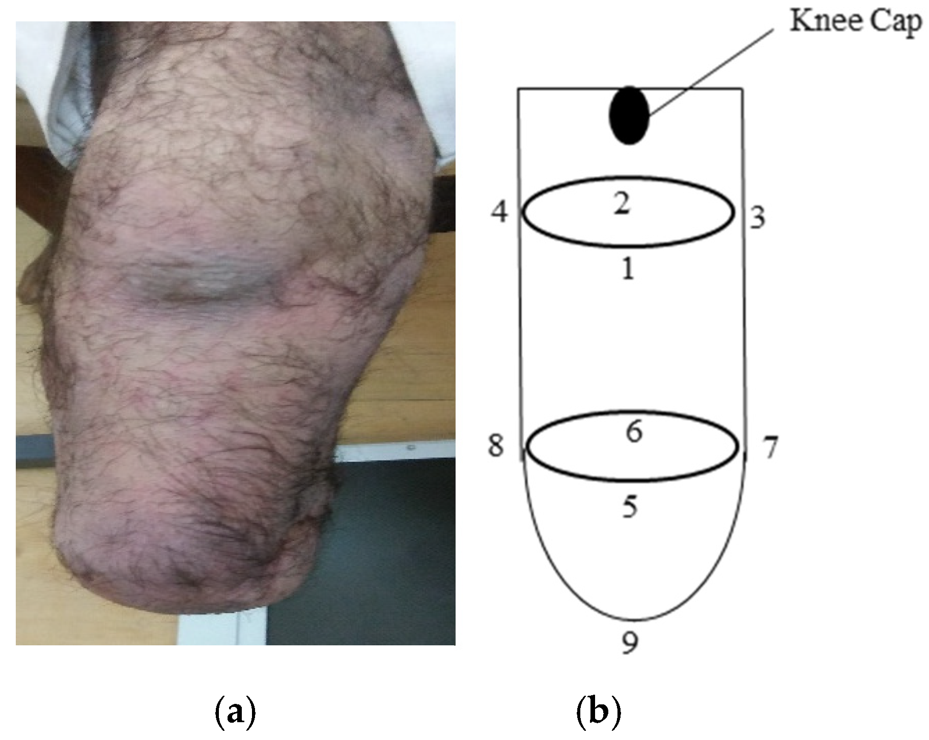 Applsci 15 01284 g004