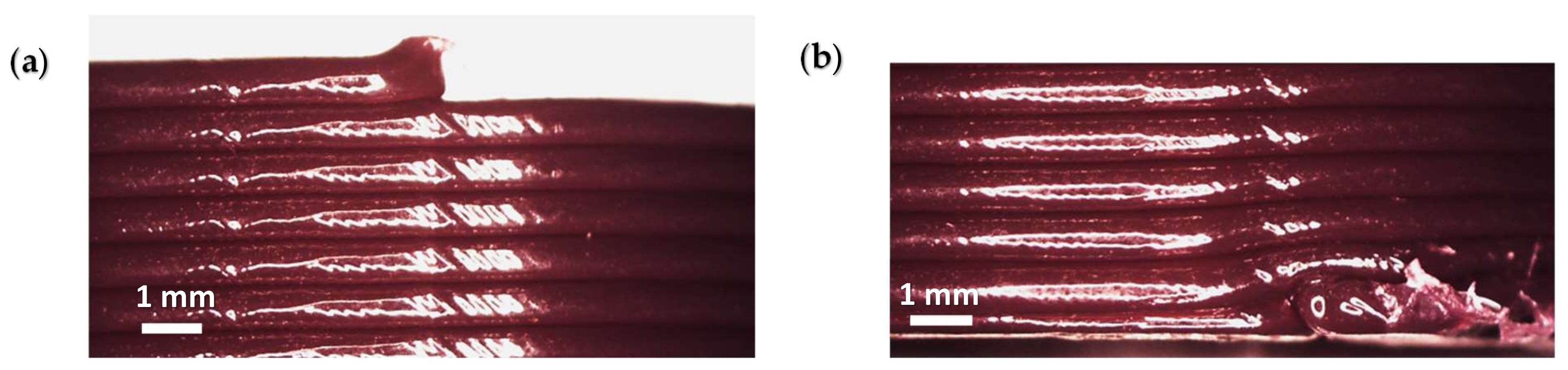Applsci 15 01291 g005