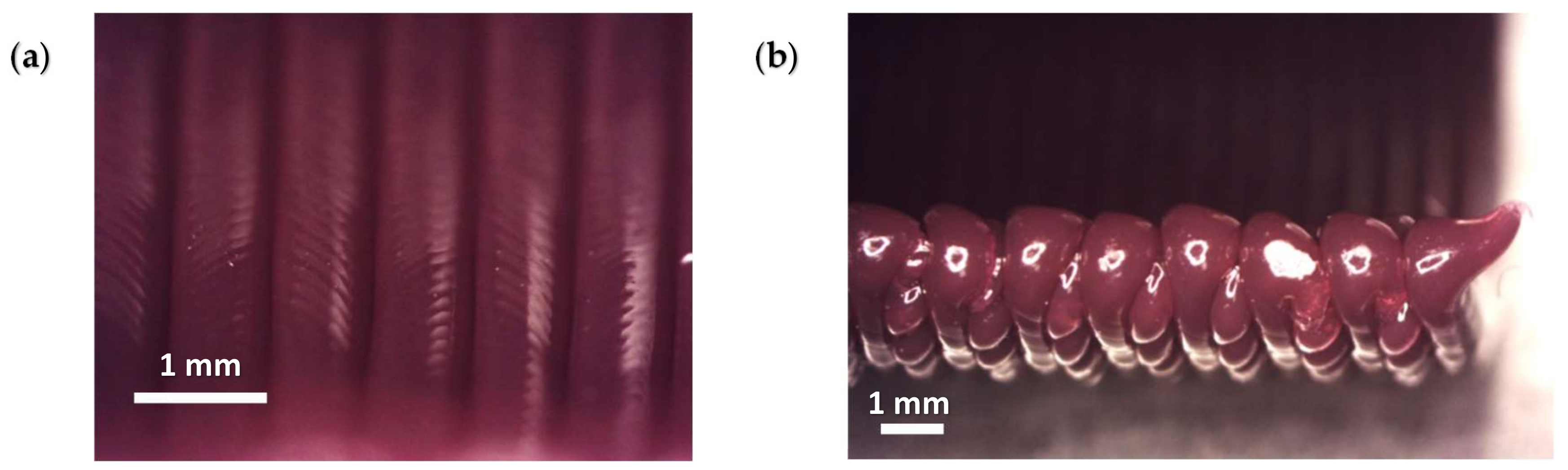Applsci 15 01291 g007