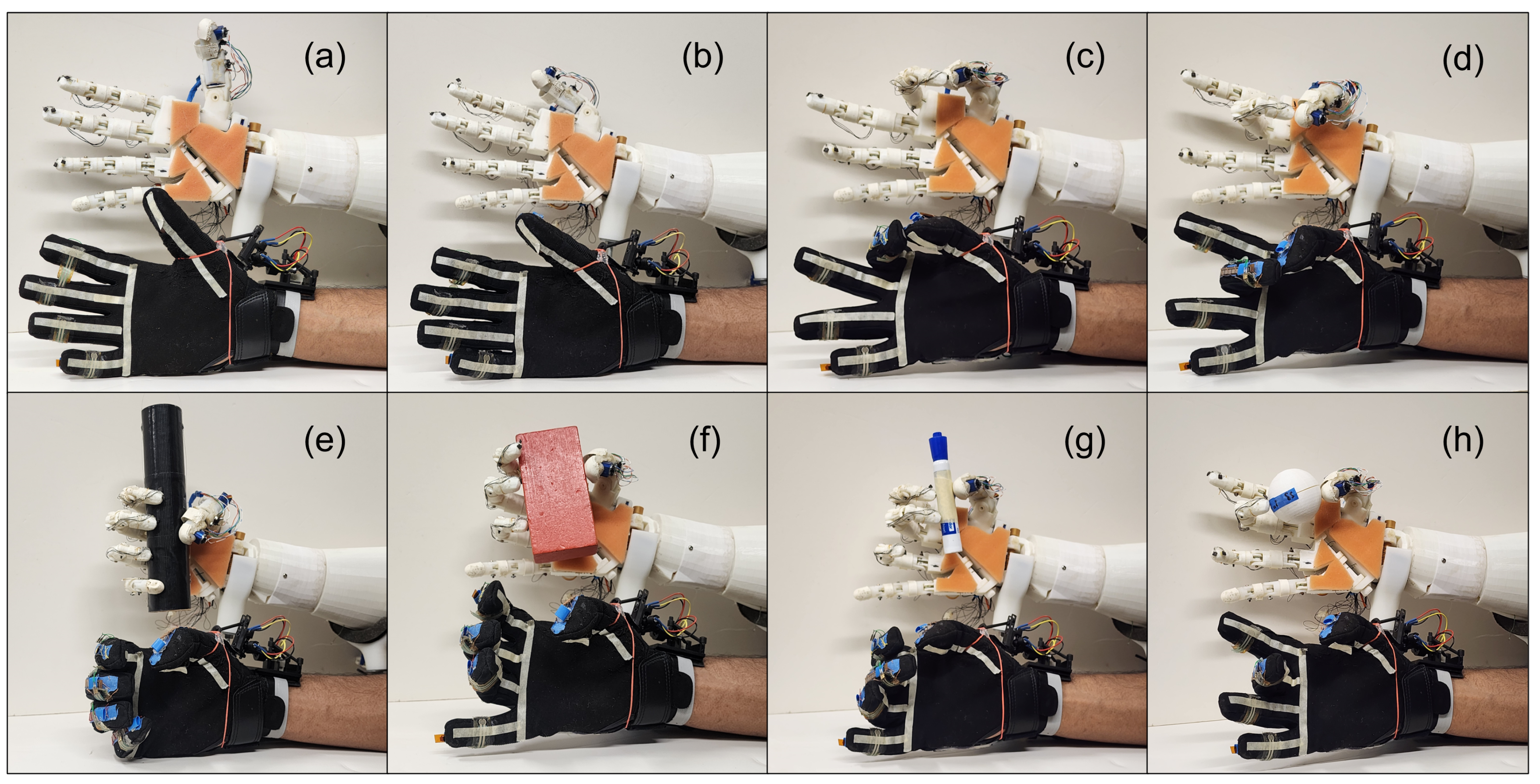 Applsci 15 01301 g010