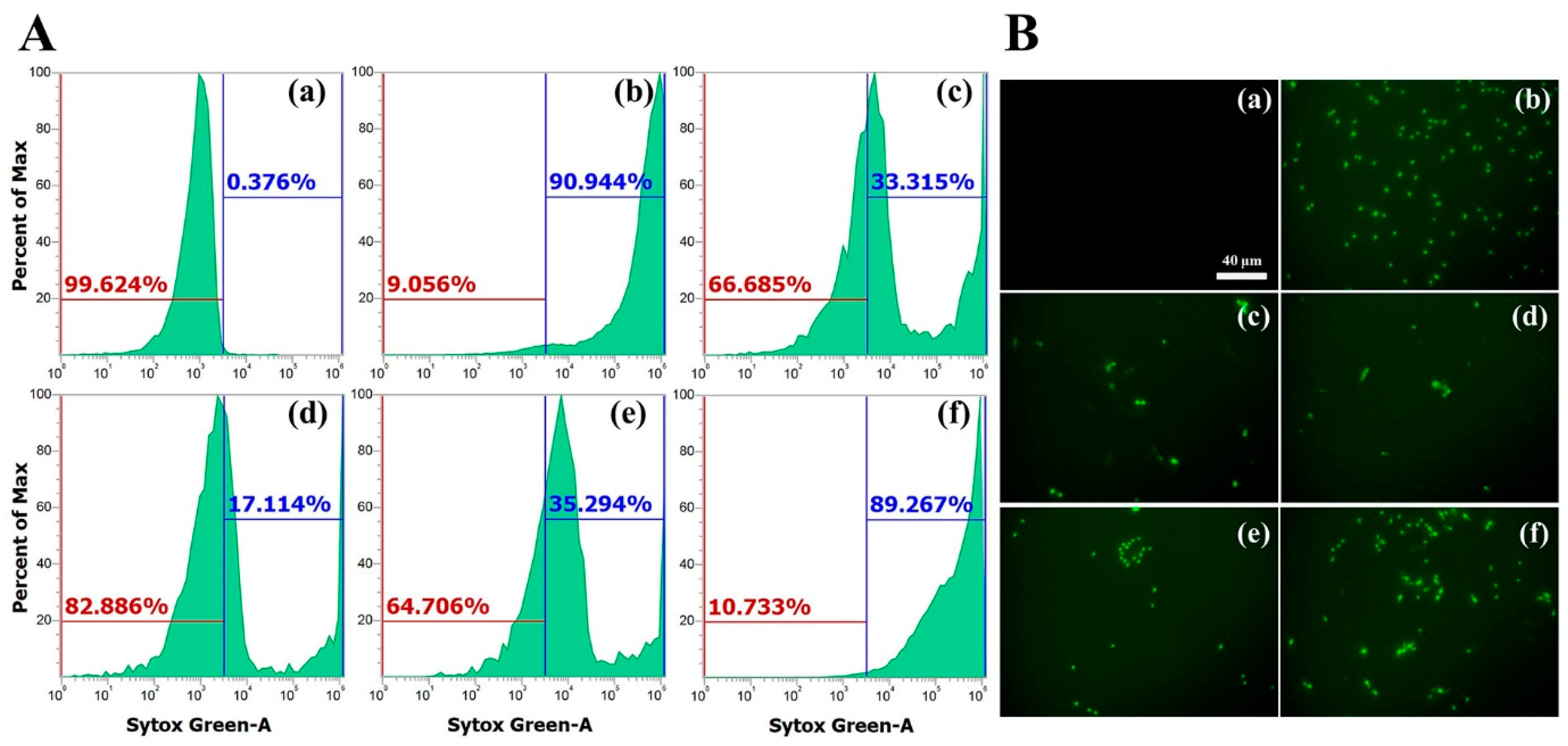 Applsci 15 01307 g004
