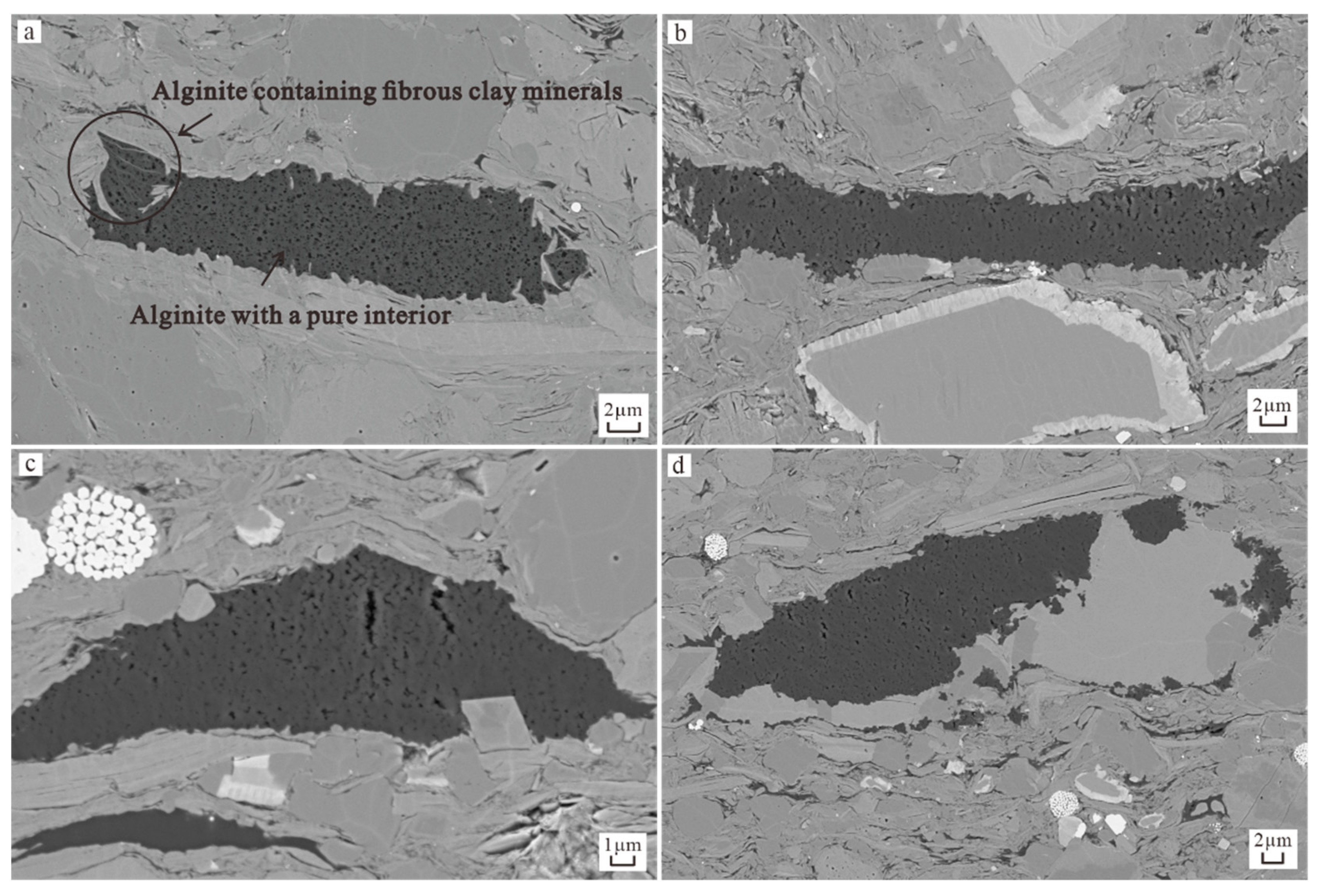Applsci 15 01310 g001
