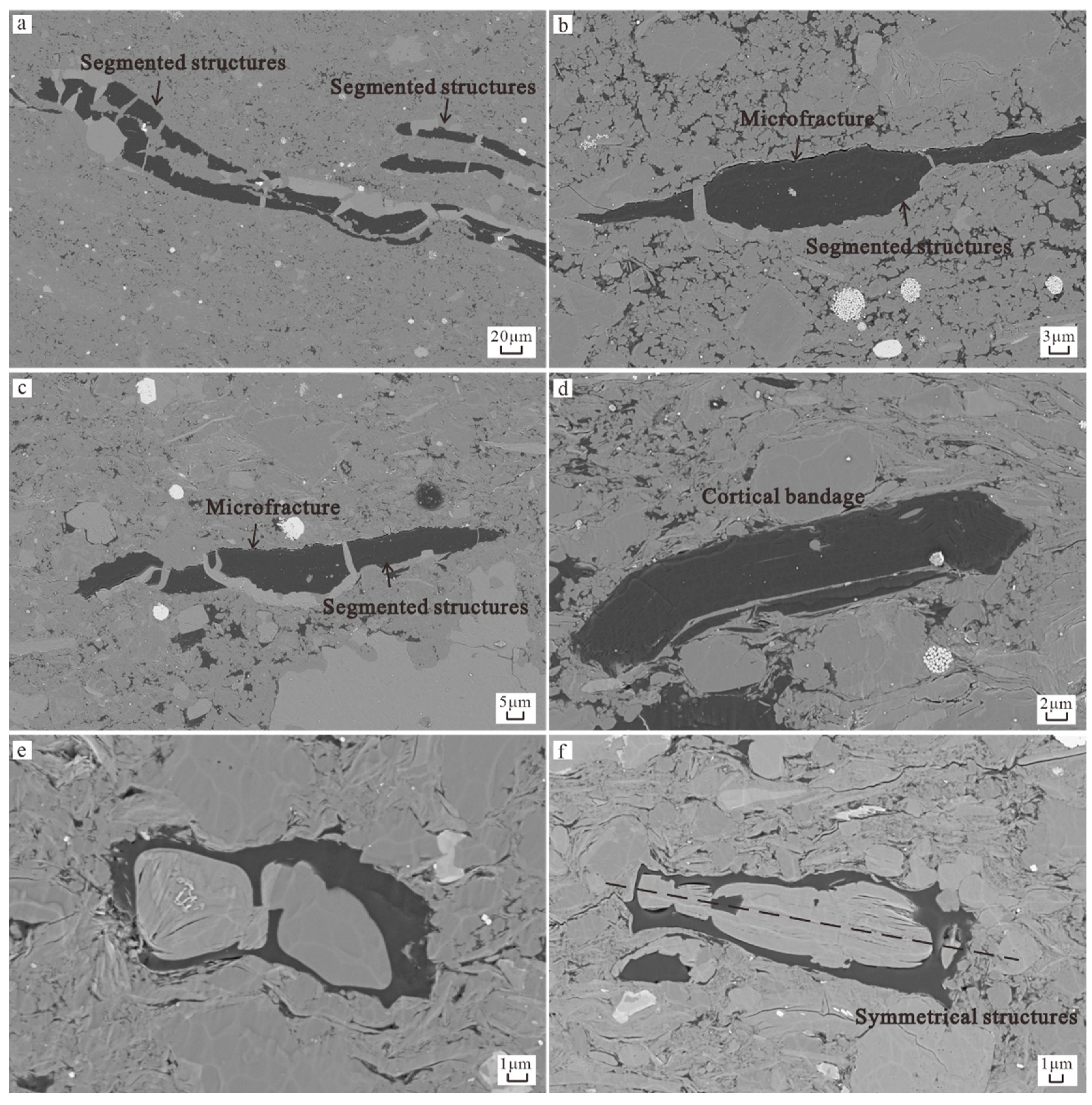 Applsci 15 01310 g002