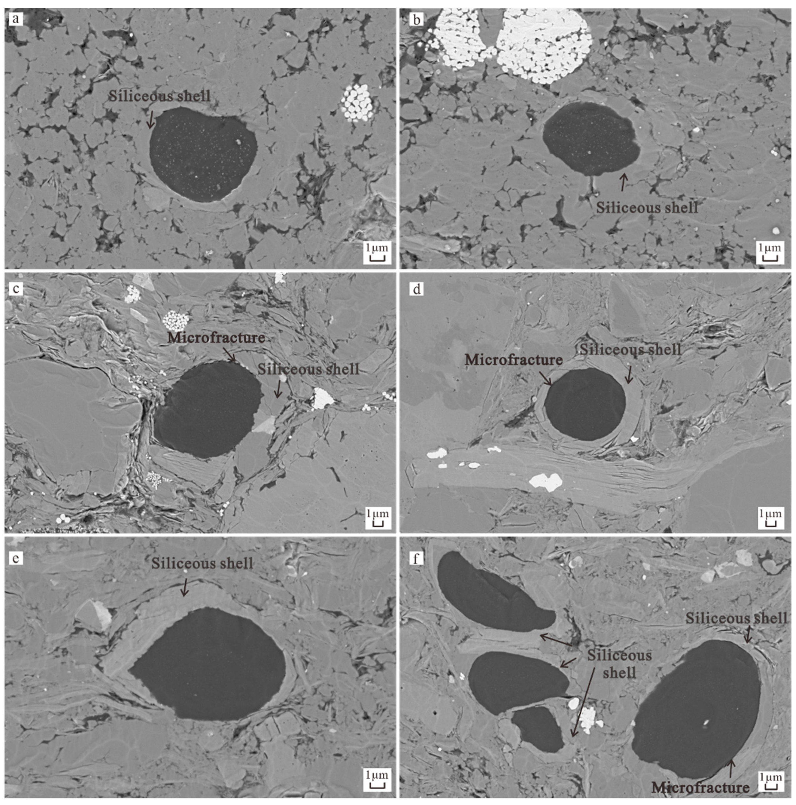 Applsci 15 01310 g004