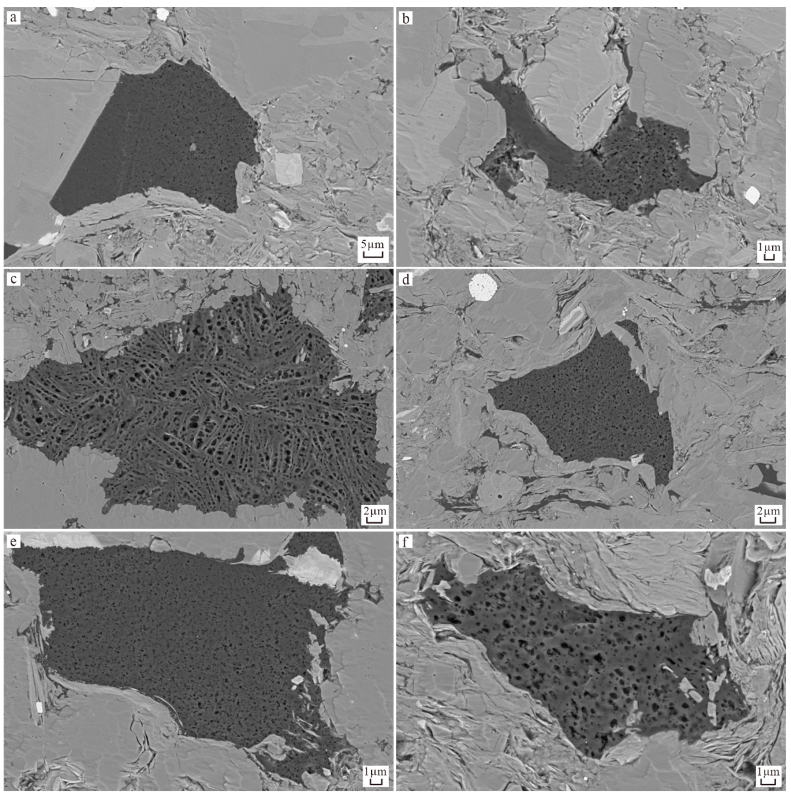 Applsci 15 01310 g006