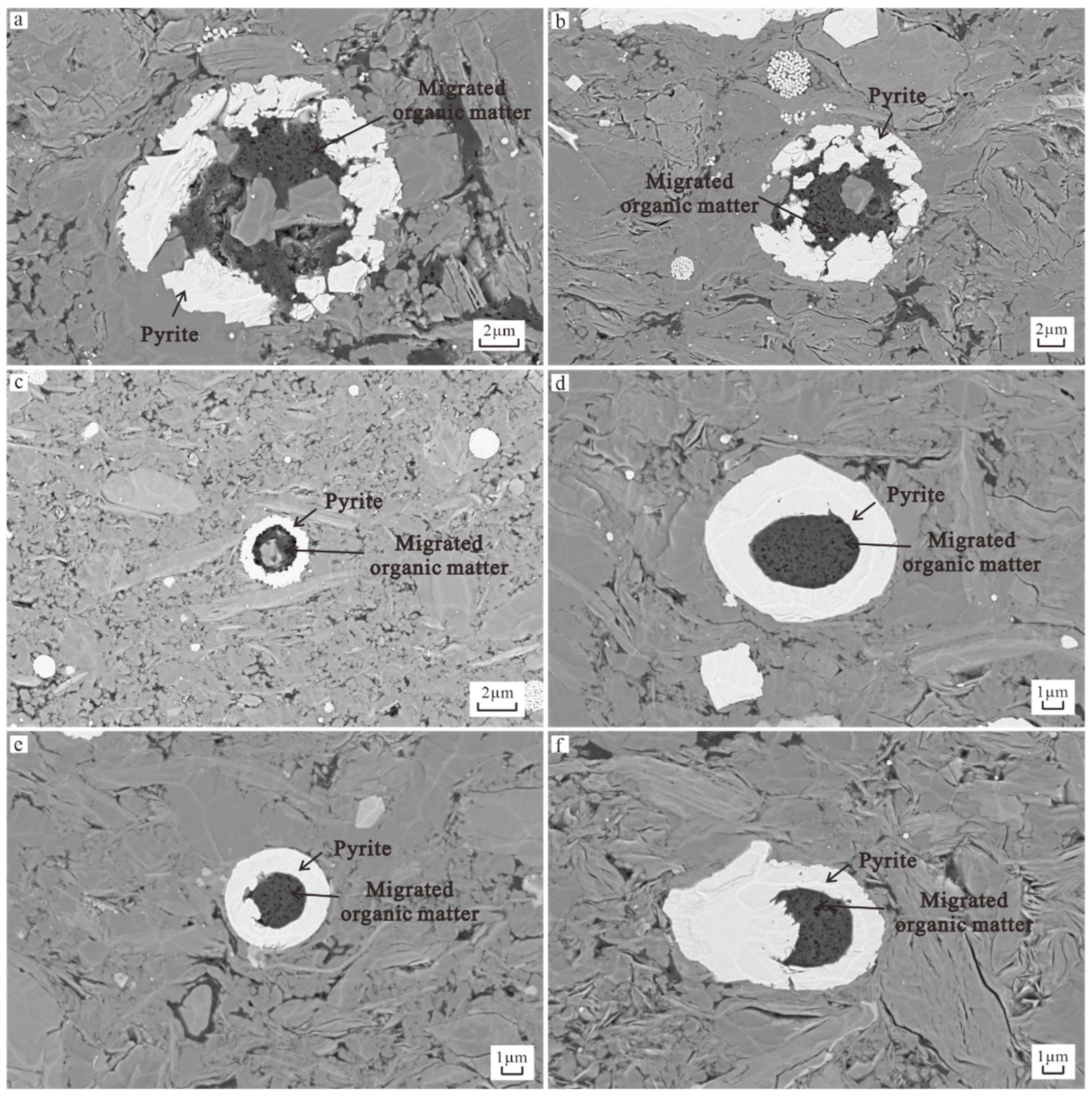 Applsci 15 01310 g007