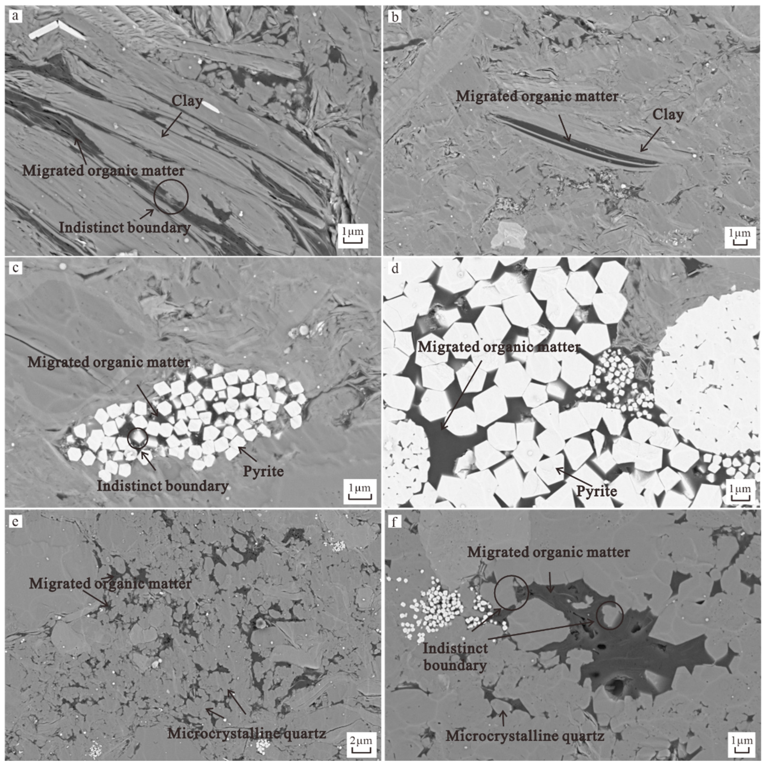 Applsci 15 01310 g008