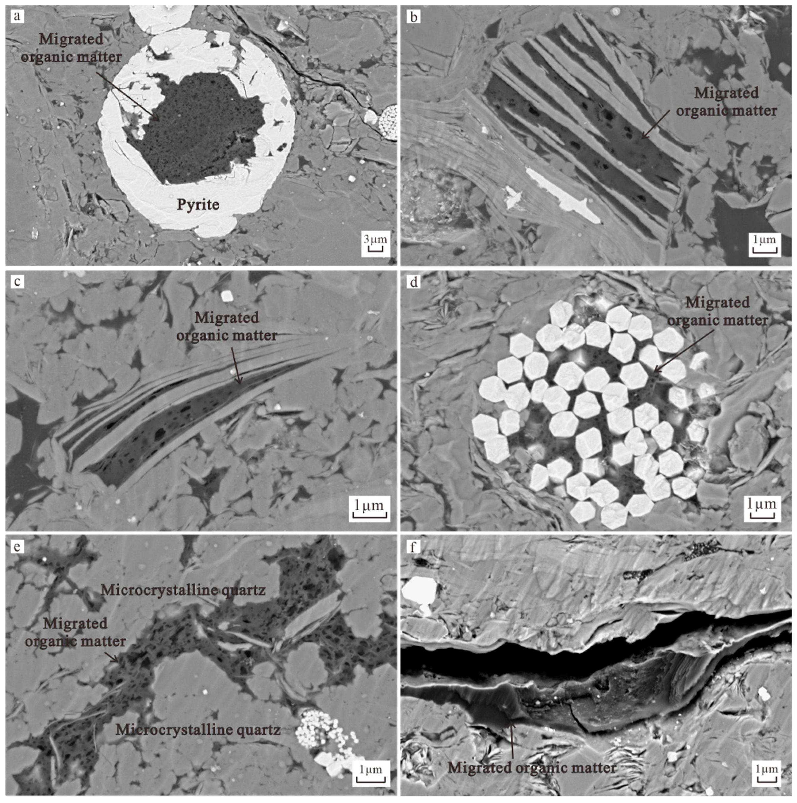 Applsci 15 01310 g011
