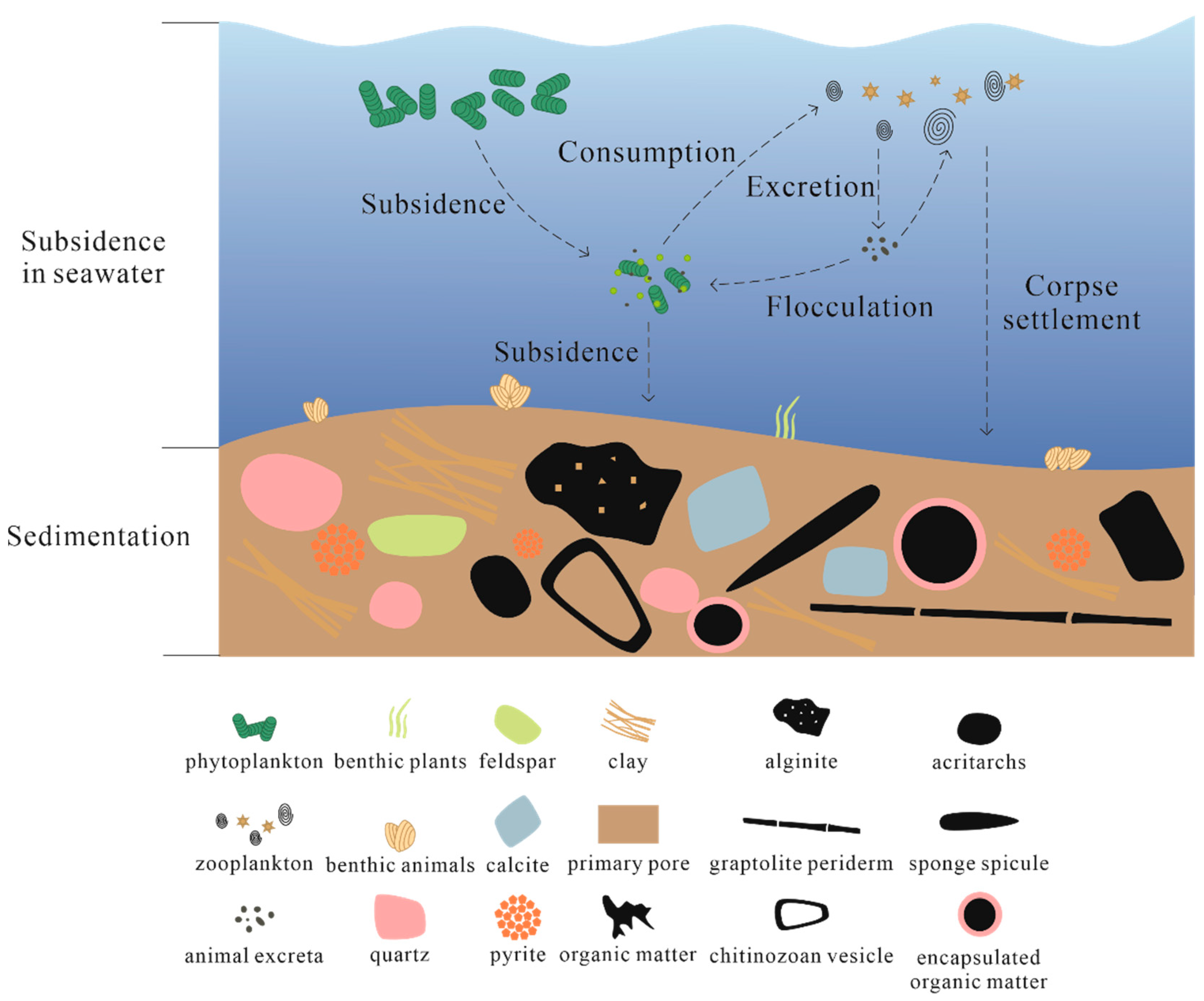 Applsci 15 01310 g012