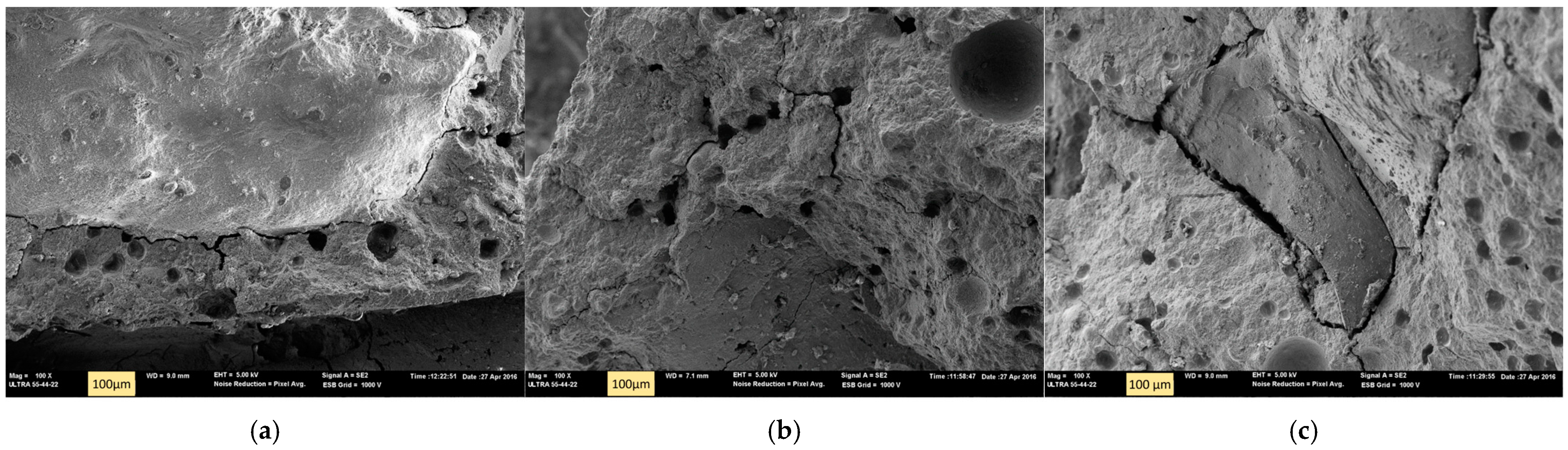 Applsci 15 01346 g005