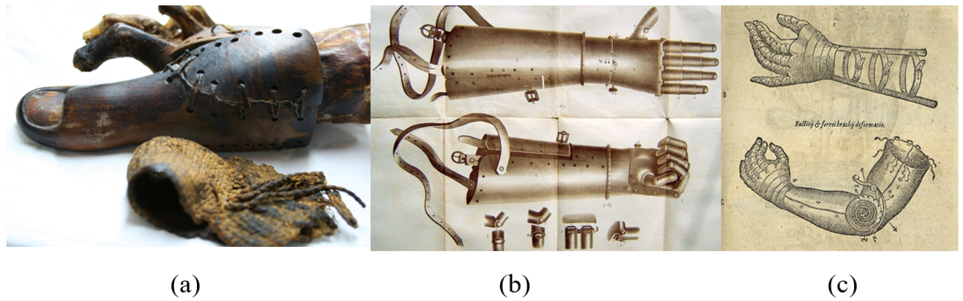 Applsci 15 01350 g001