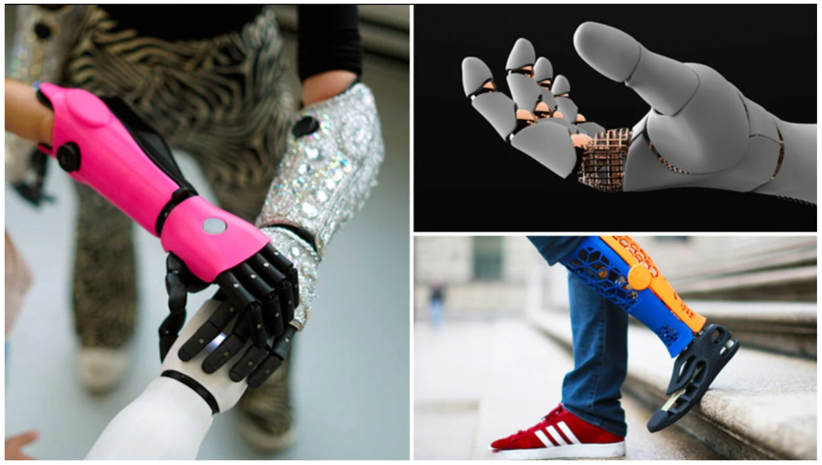 Applsci 15 01350 g006