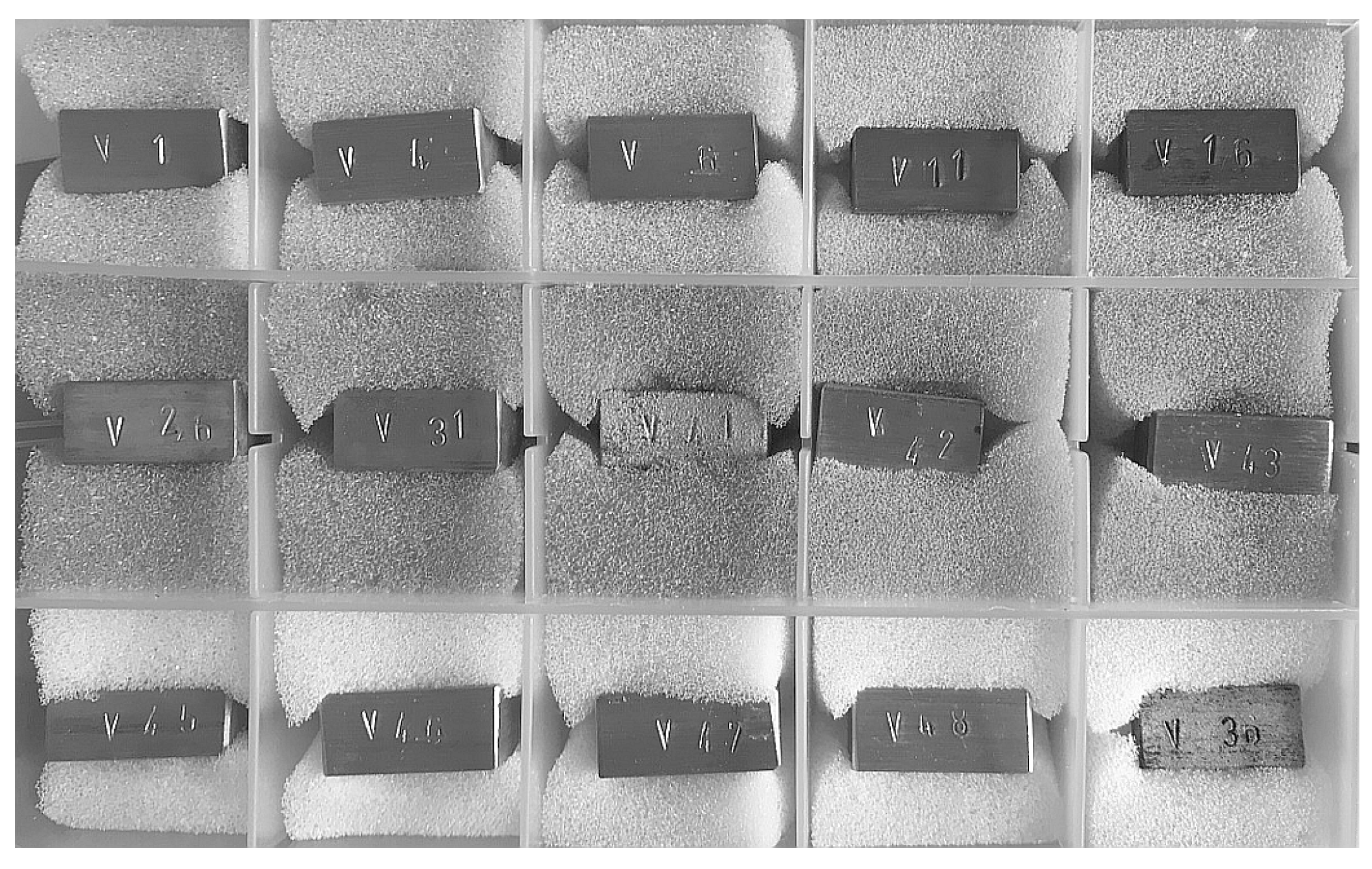 Applsci 15 01352 g001