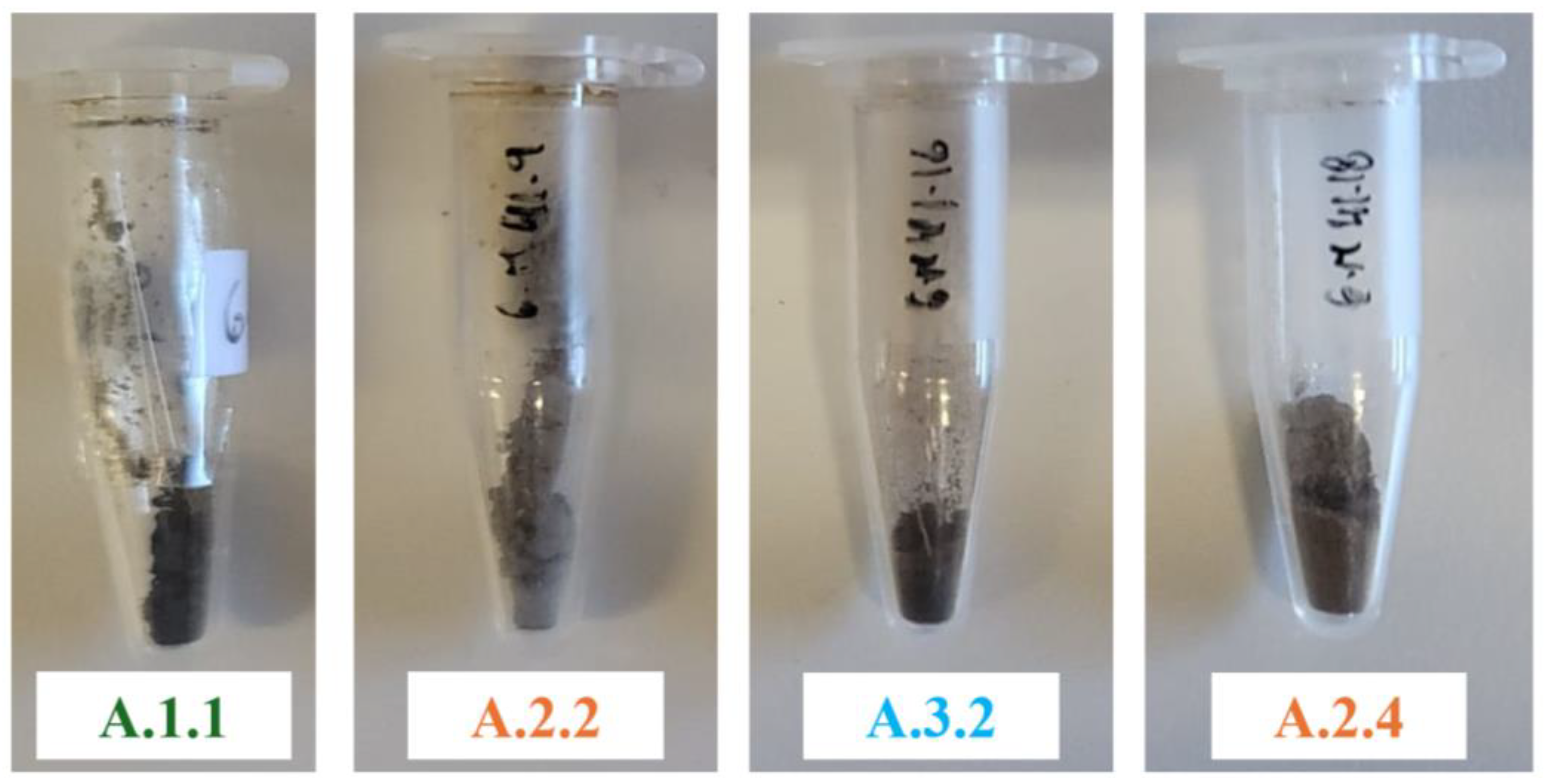 Applsci 15 01363 g0a4