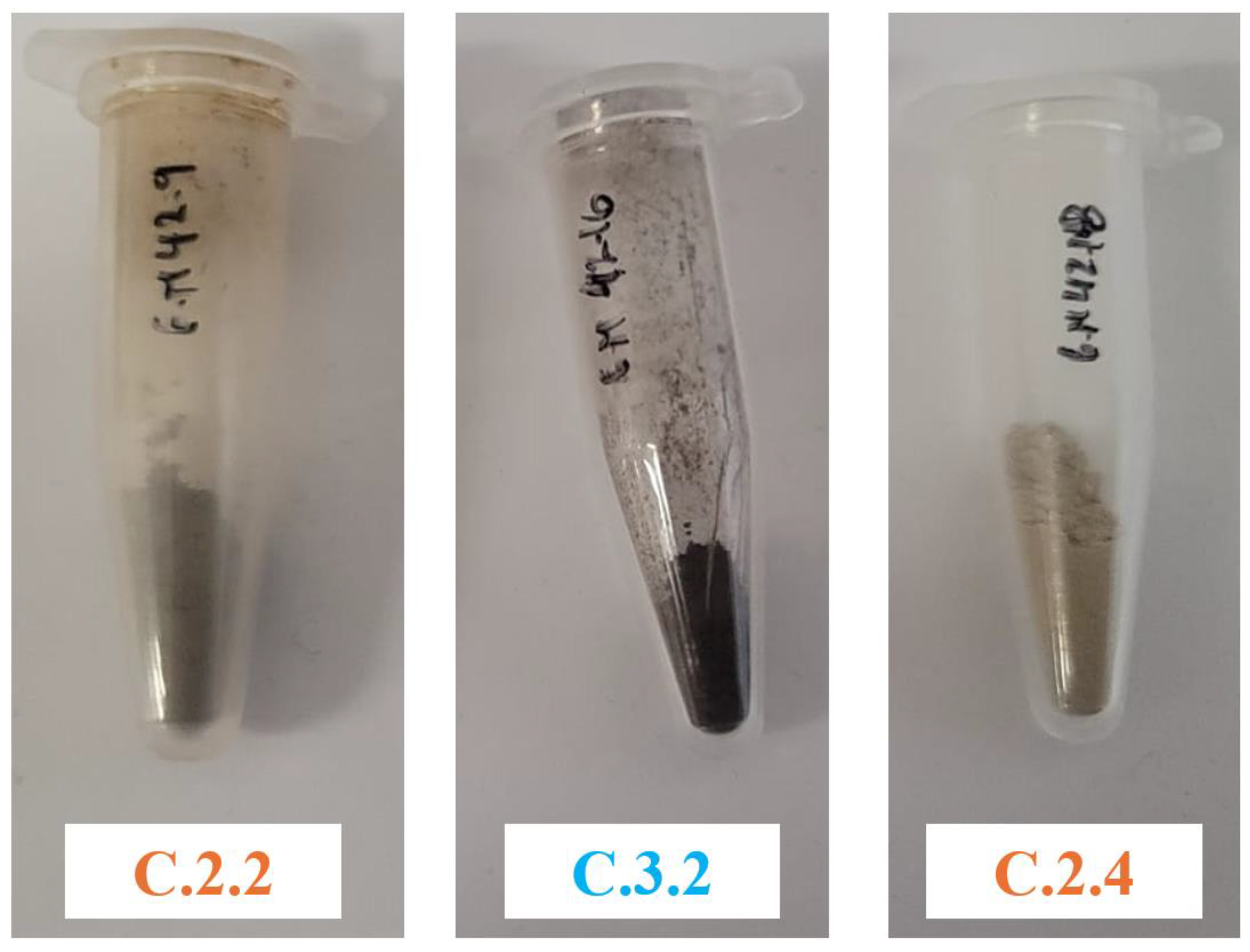 Applsci 15 01363 g0a5