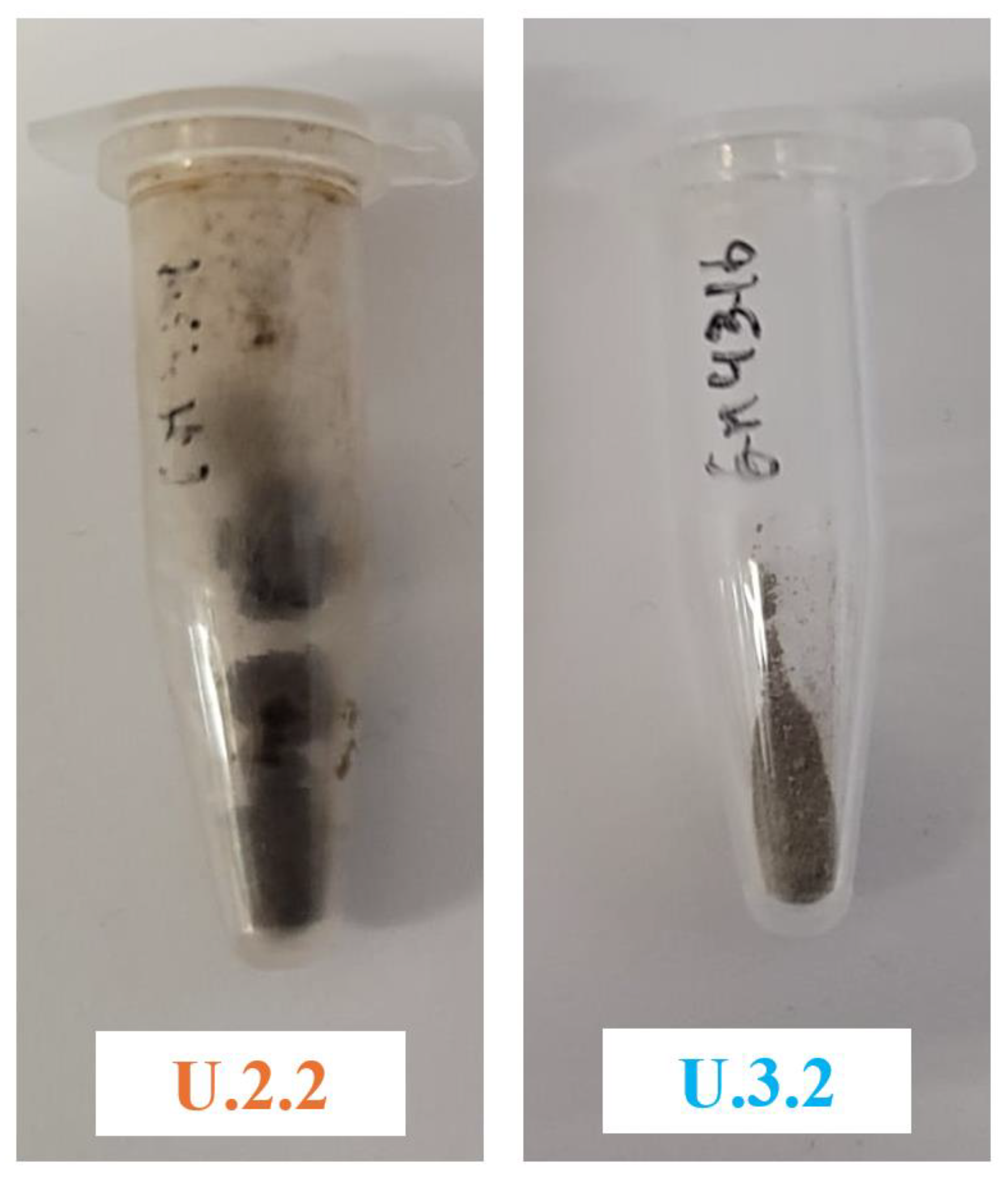 Applsci 15 01363 g0a6