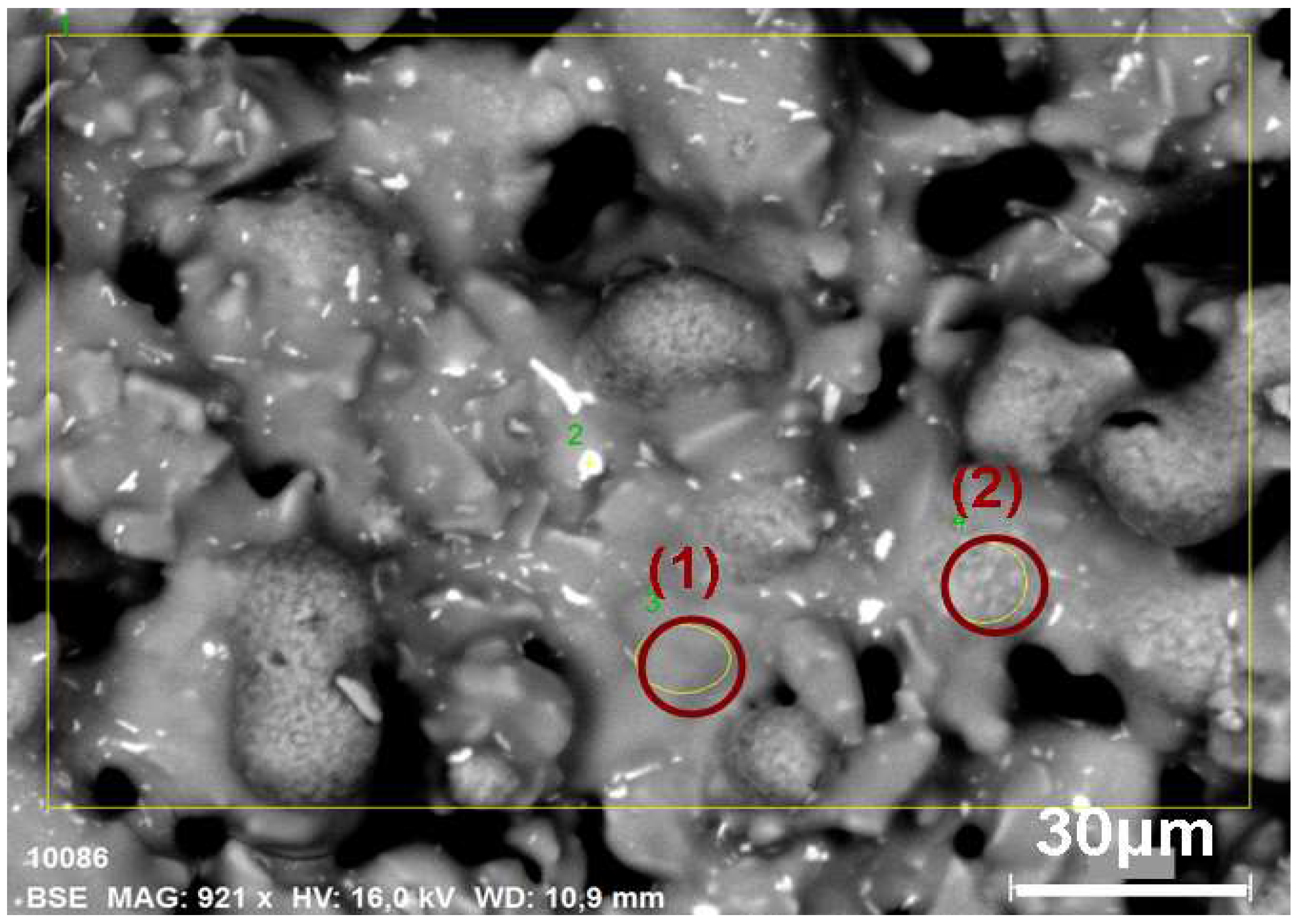 Applsci 15 01379 g005 Applsci 15 01379 g005