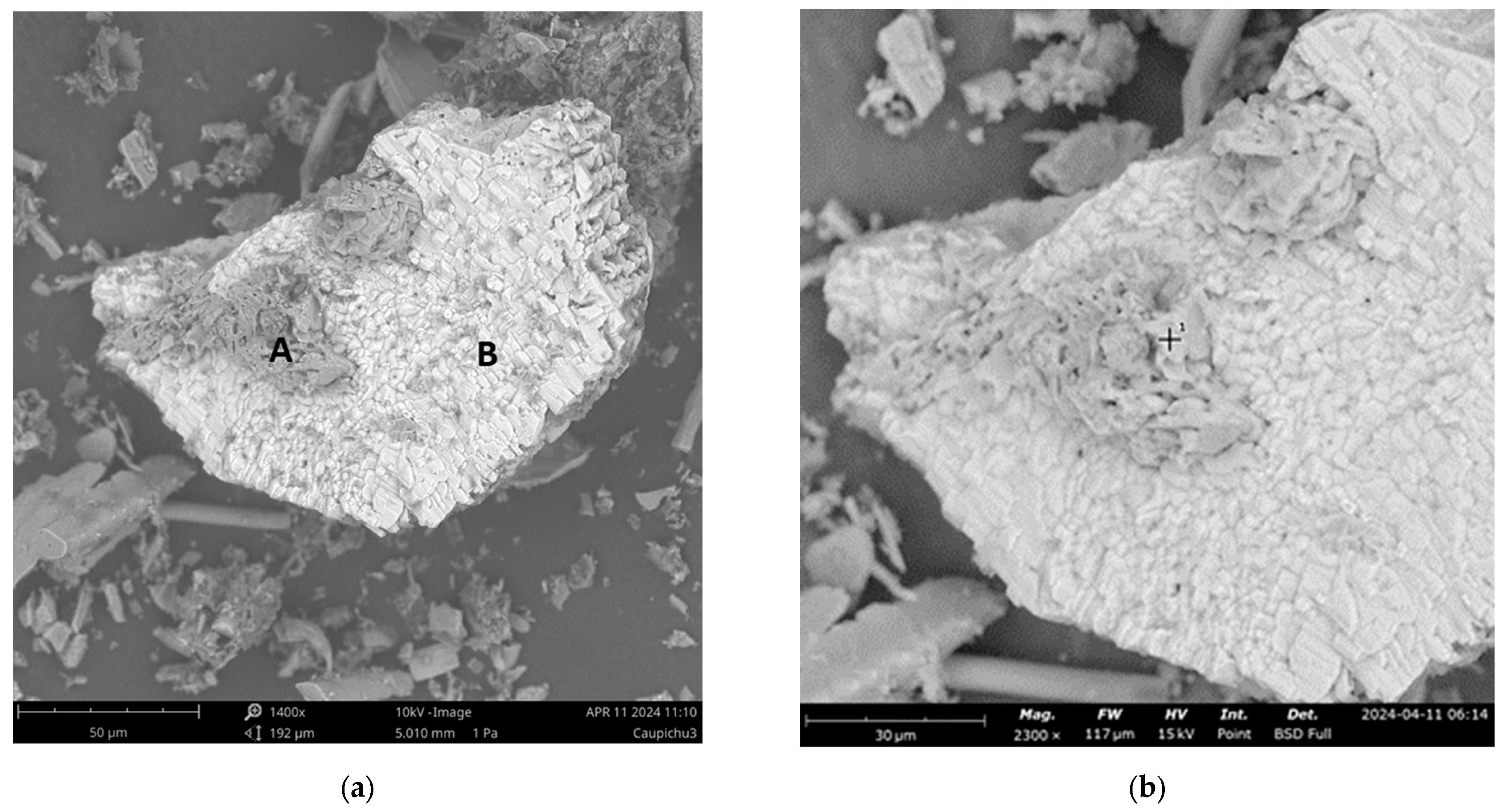 Applsci 15 01386 g010a