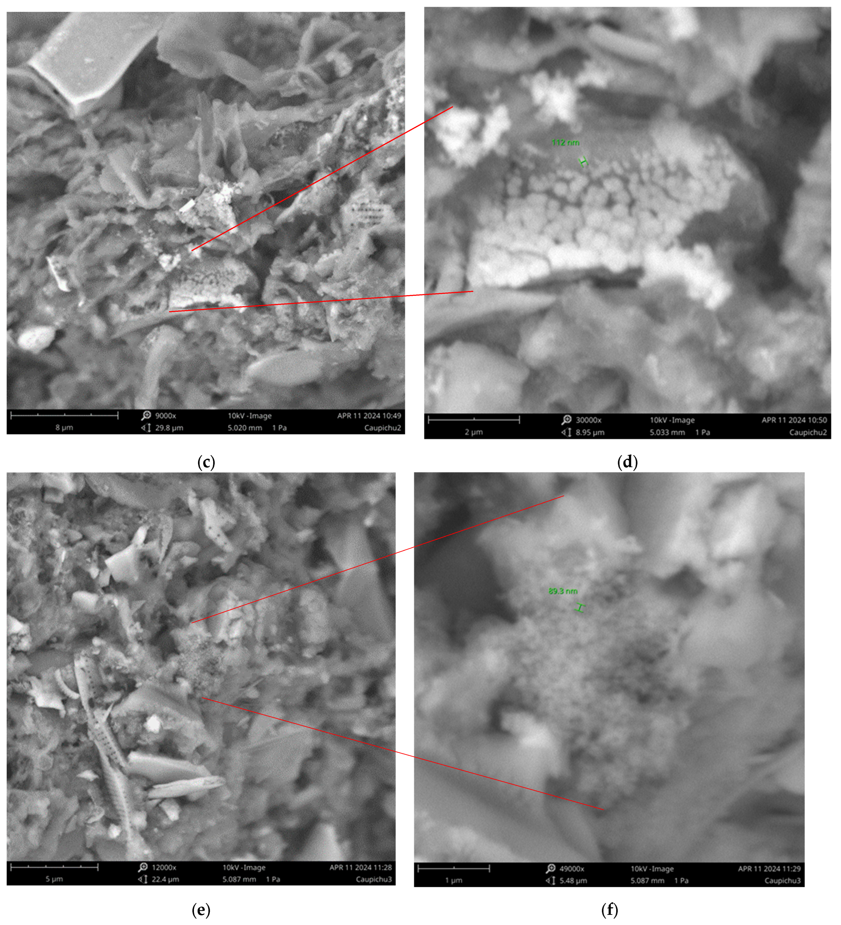 Applsci 15 01386 g011b