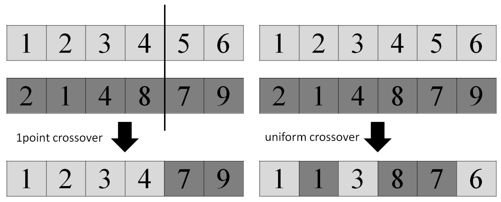 Applsci 15 01413 g007