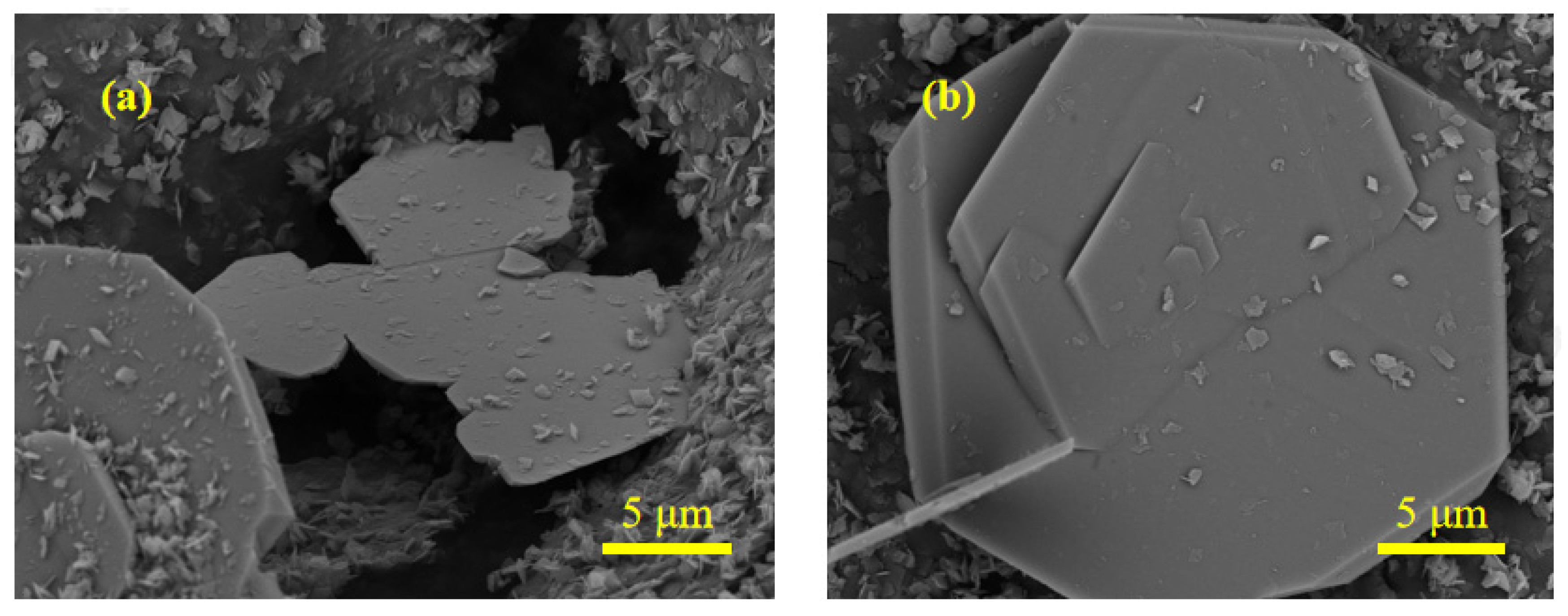 Applsci 15 01417 g006