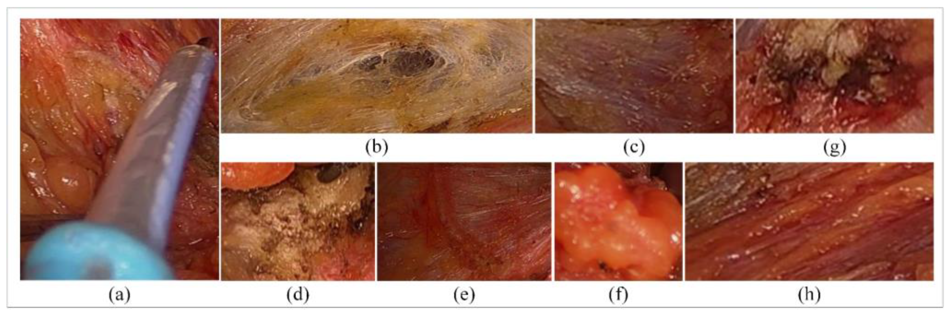 Applsci 15 01443 g002