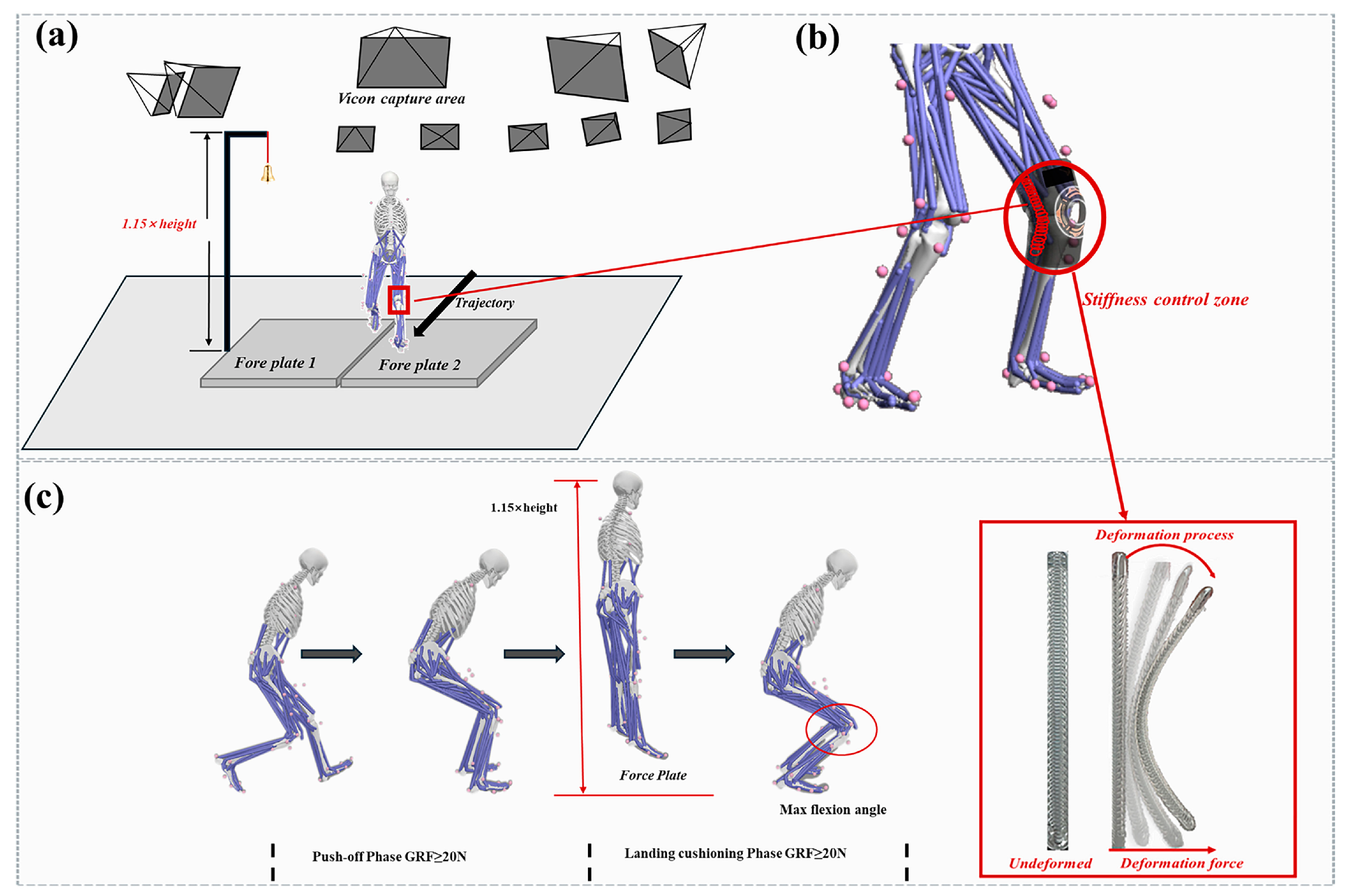 Applsci 15 01448 g001