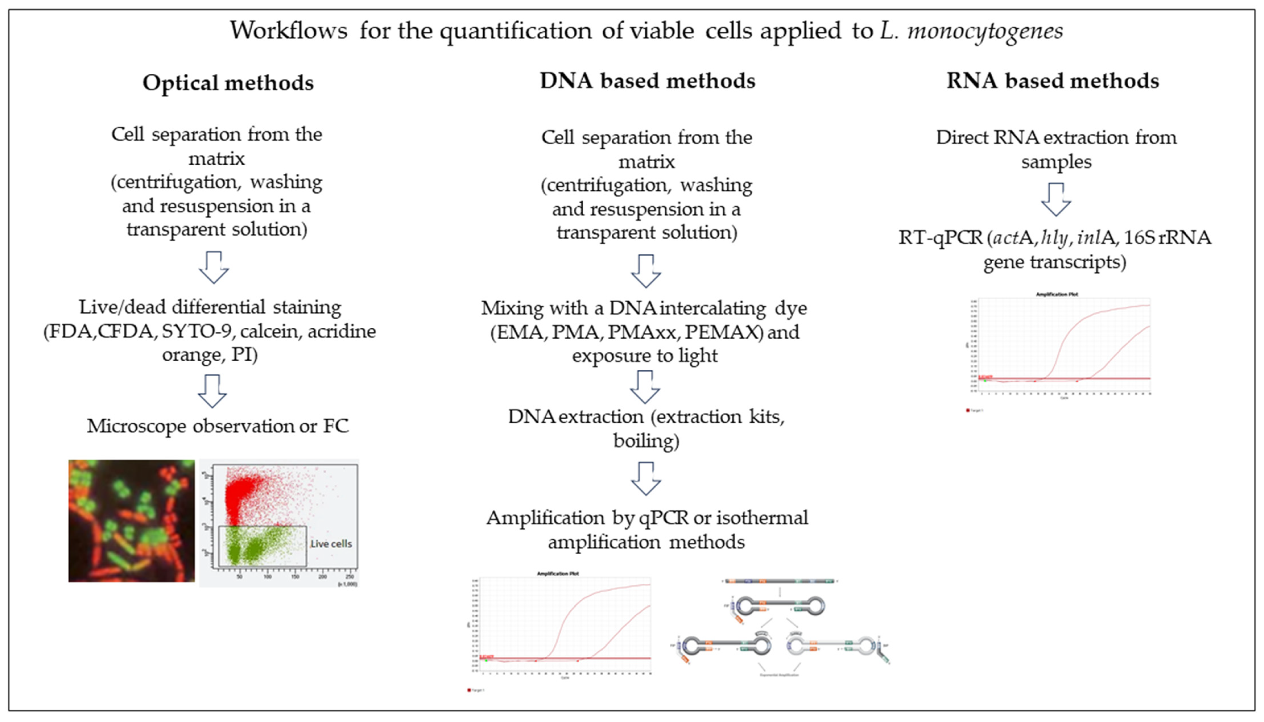 Applsci 15 01454 g001