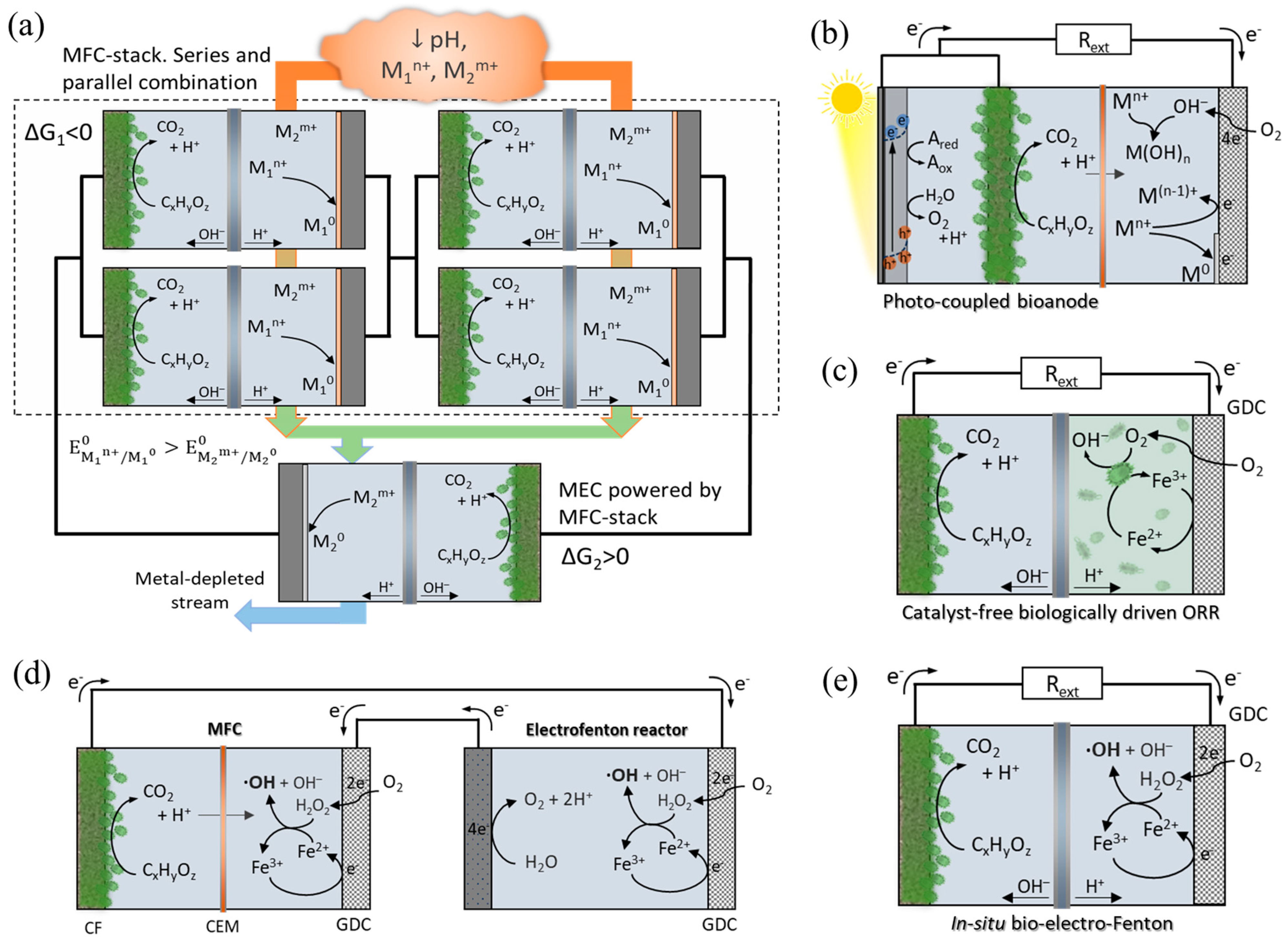 Applsci 15 01456 g004