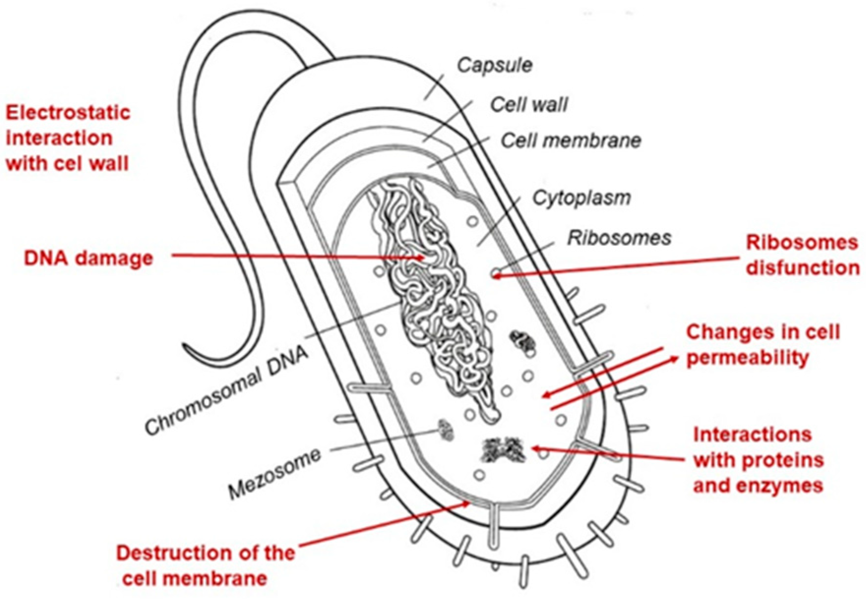 Applsci 15 01462 g004