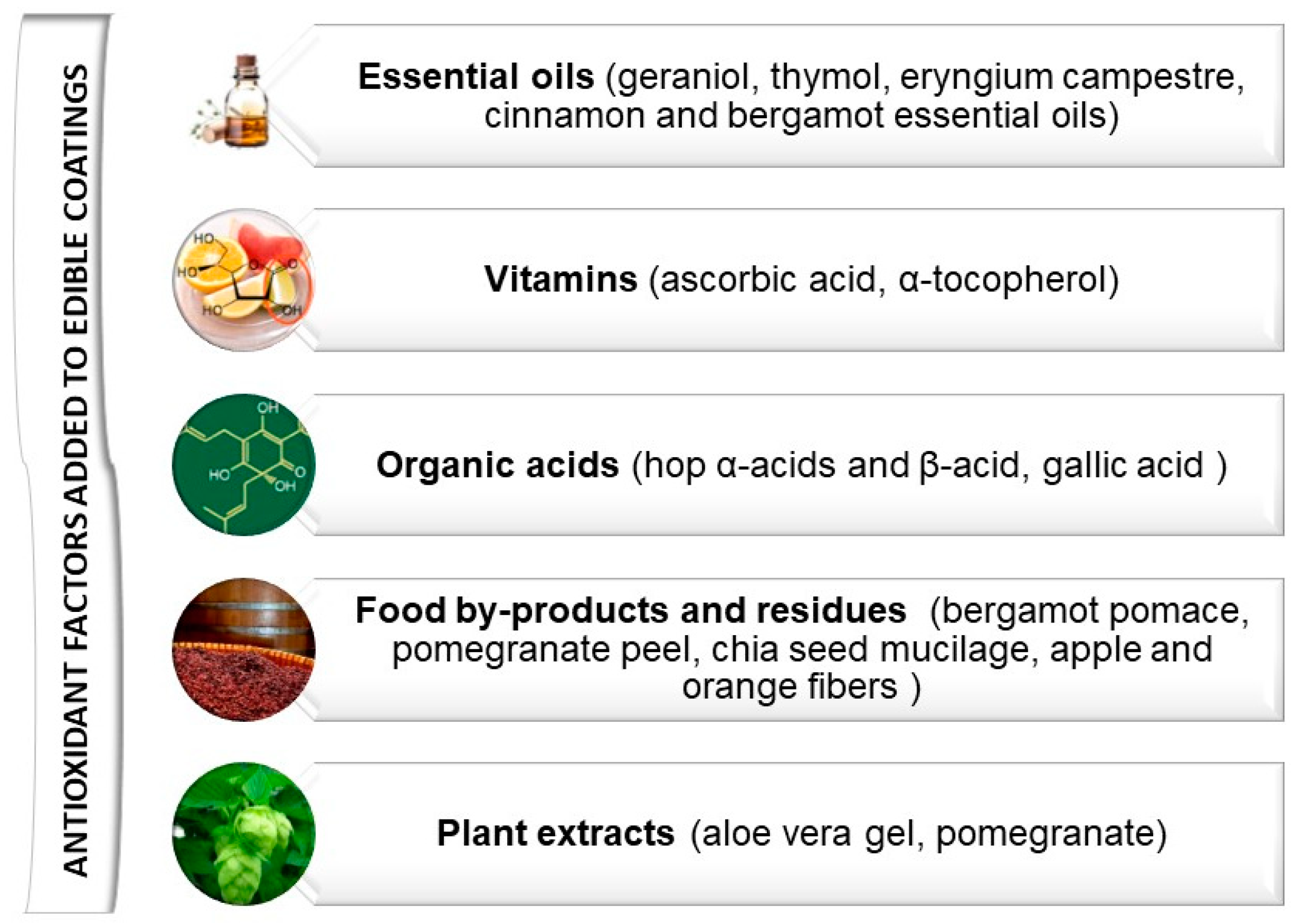 Applsci 15 01462 g007