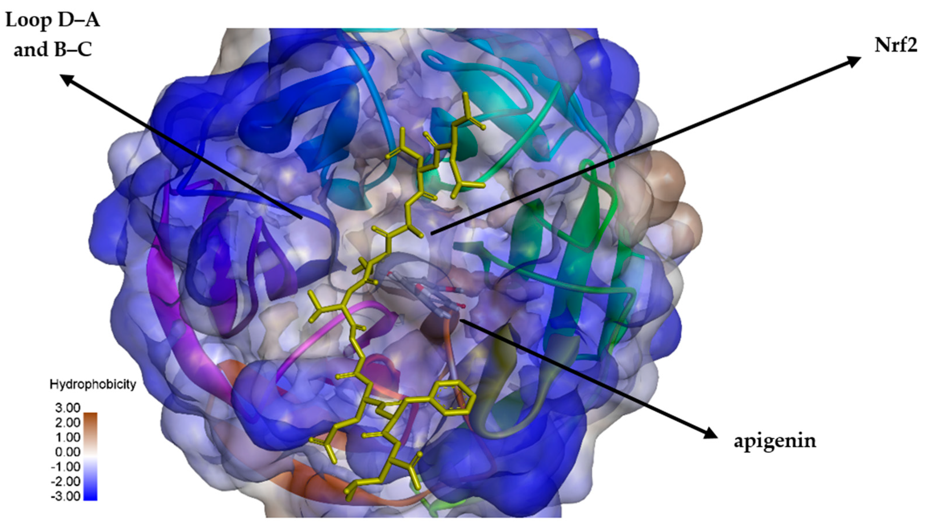 Applsci 15 01493 g003