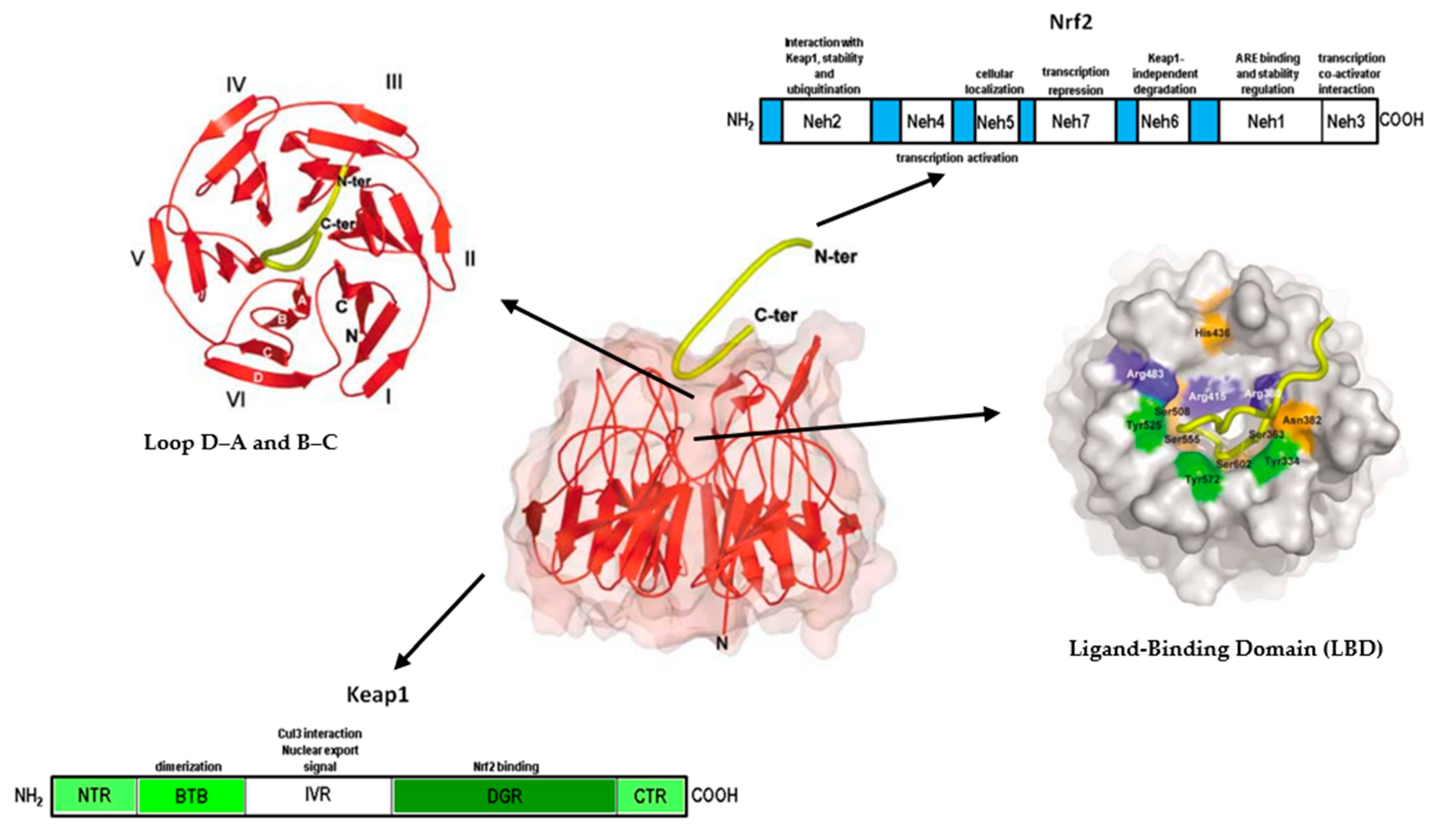 Applsci 15 01493 g006