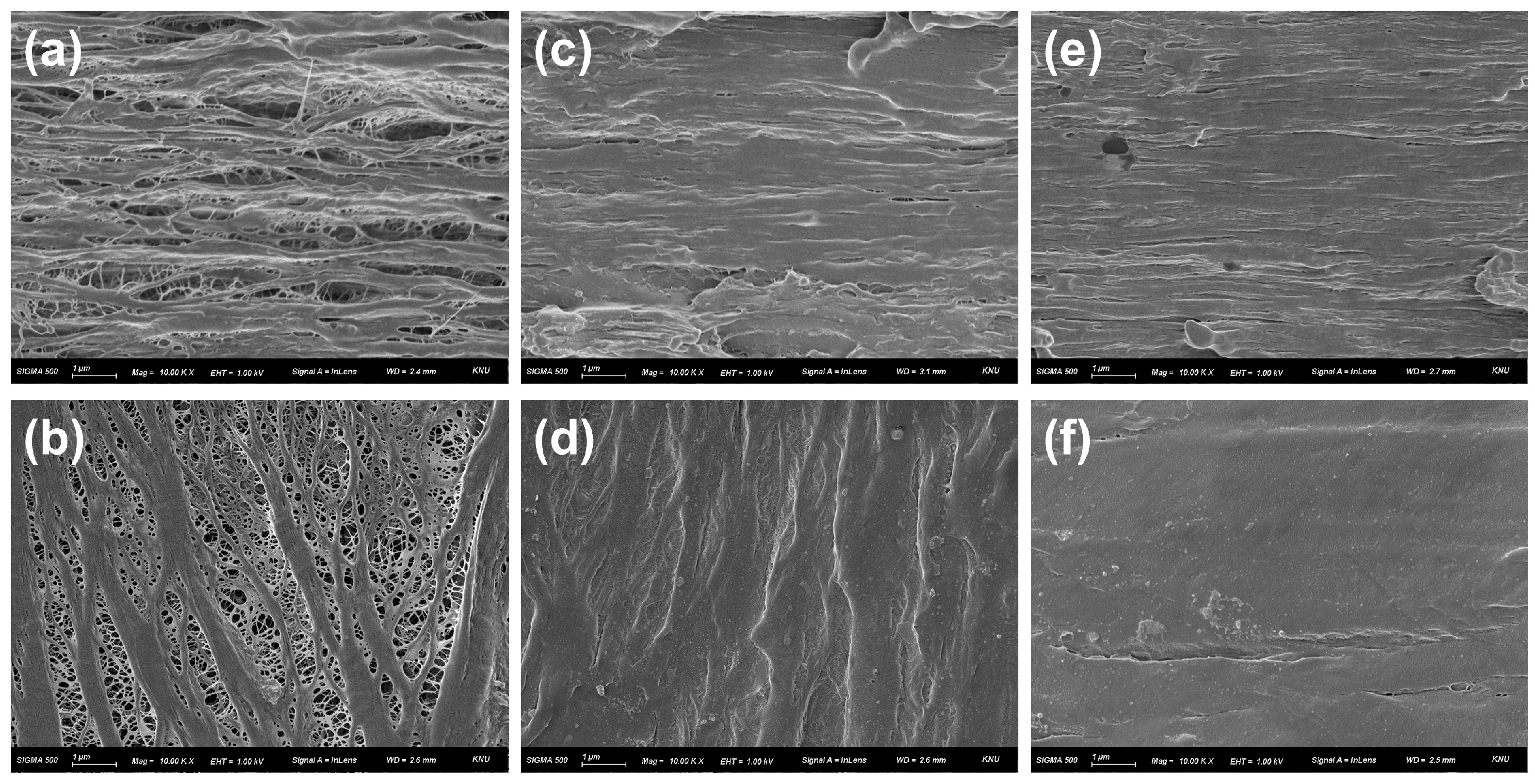 Applsci 15 01495 g004