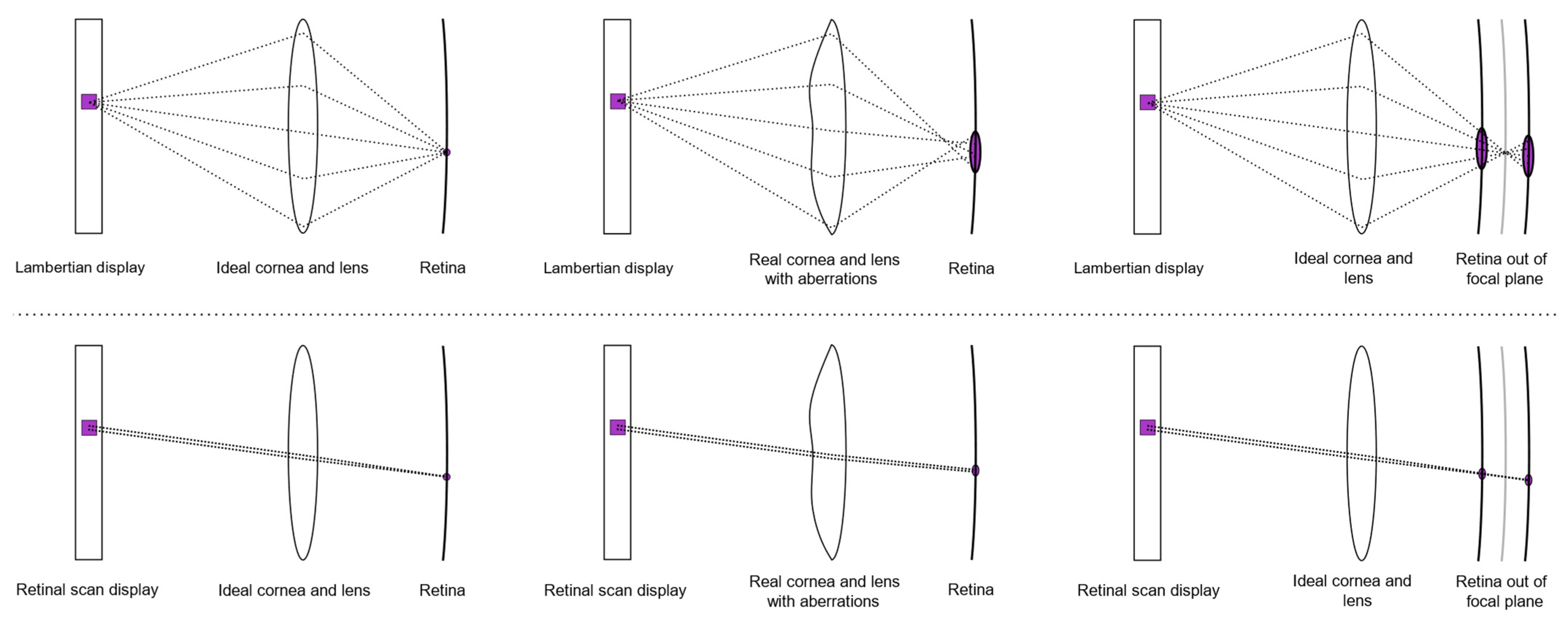 Applsci 15 01540 g003