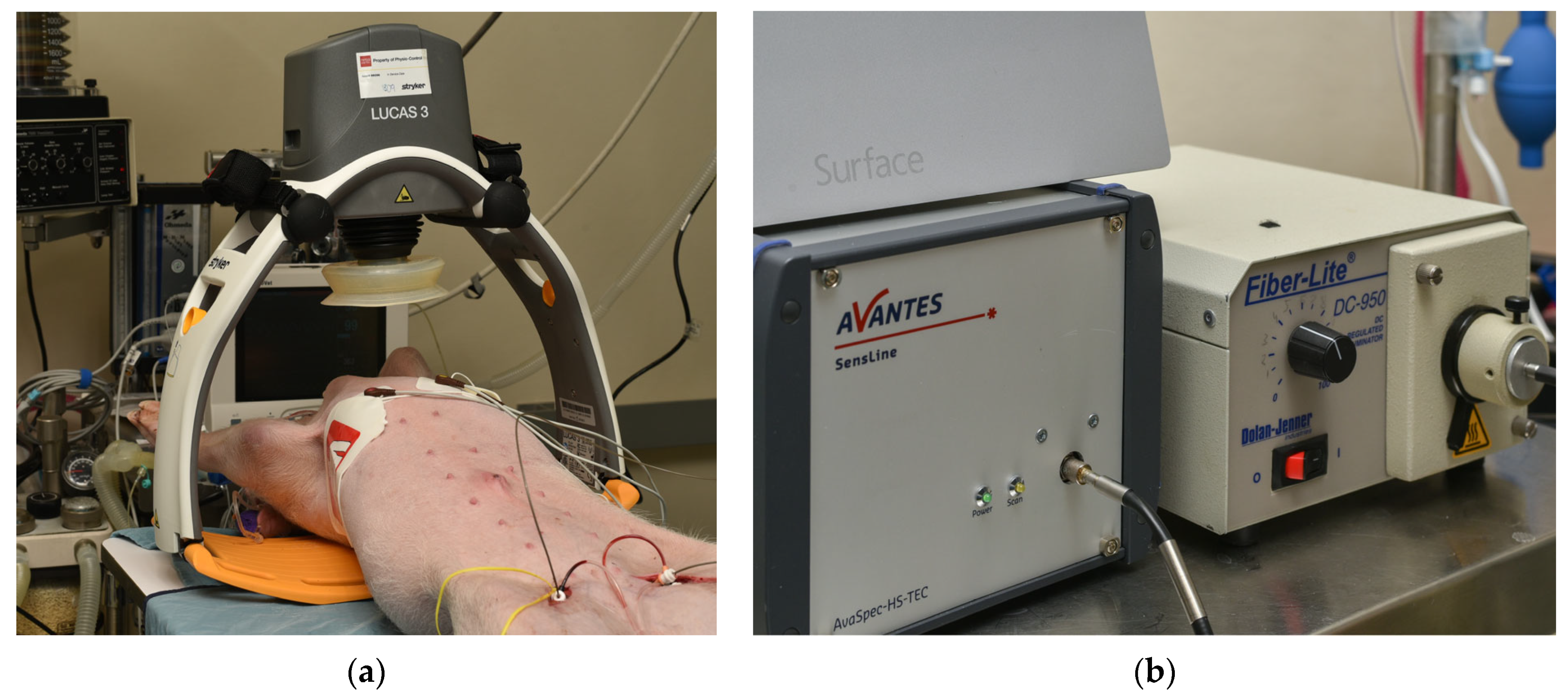 Applsci 15 01542 g001