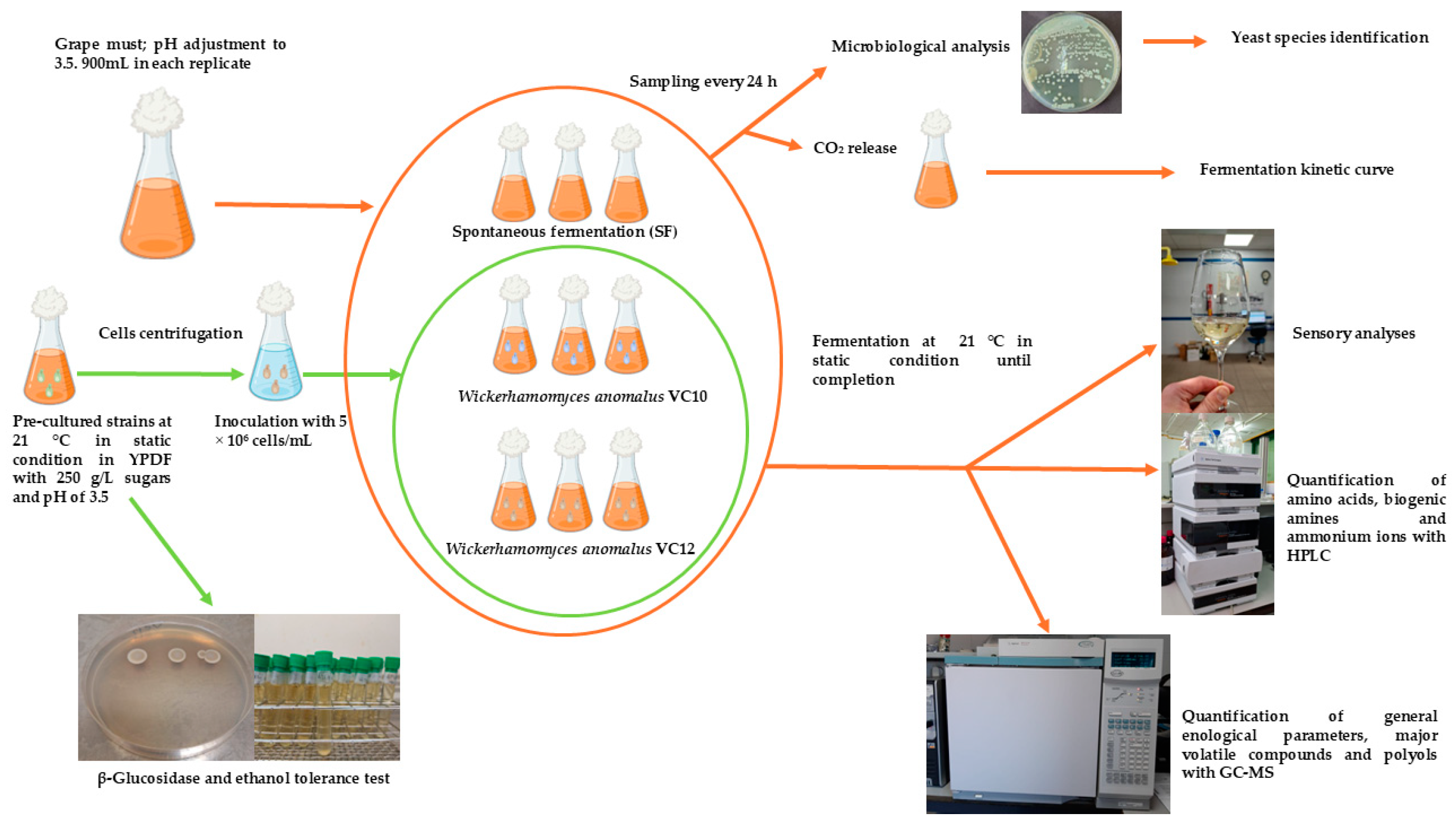 Applsci 15 01546 g001