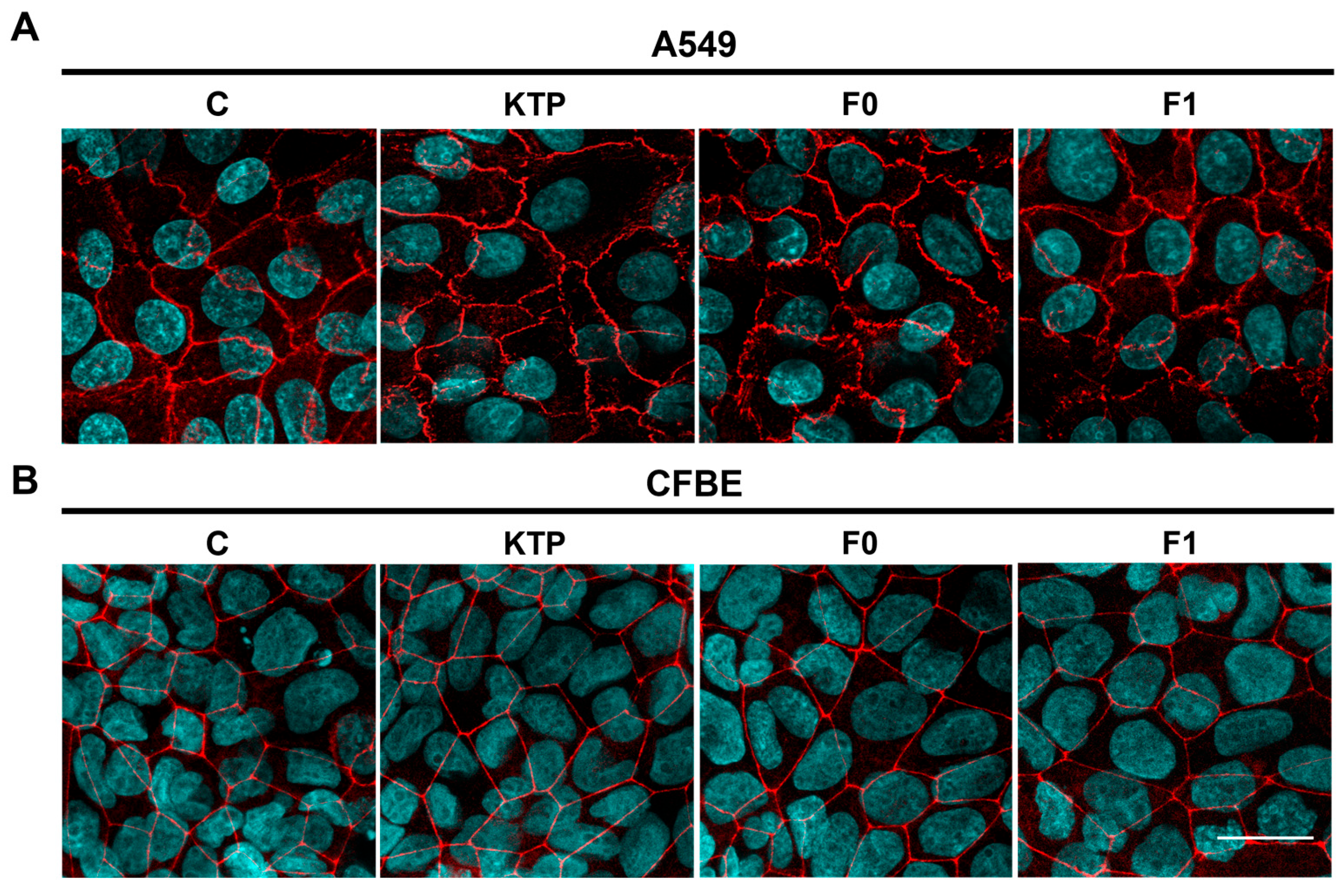Applsci 15 01547 g004