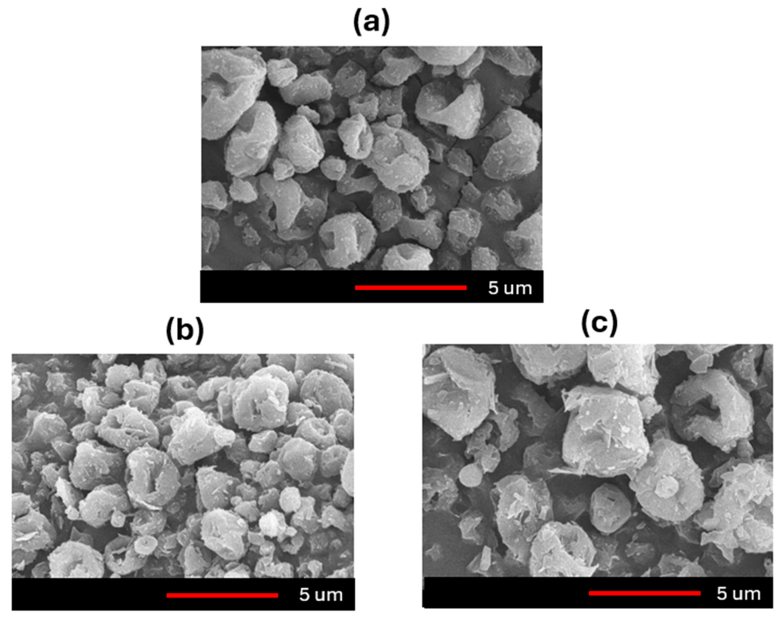 Applsci 15 01547 g006