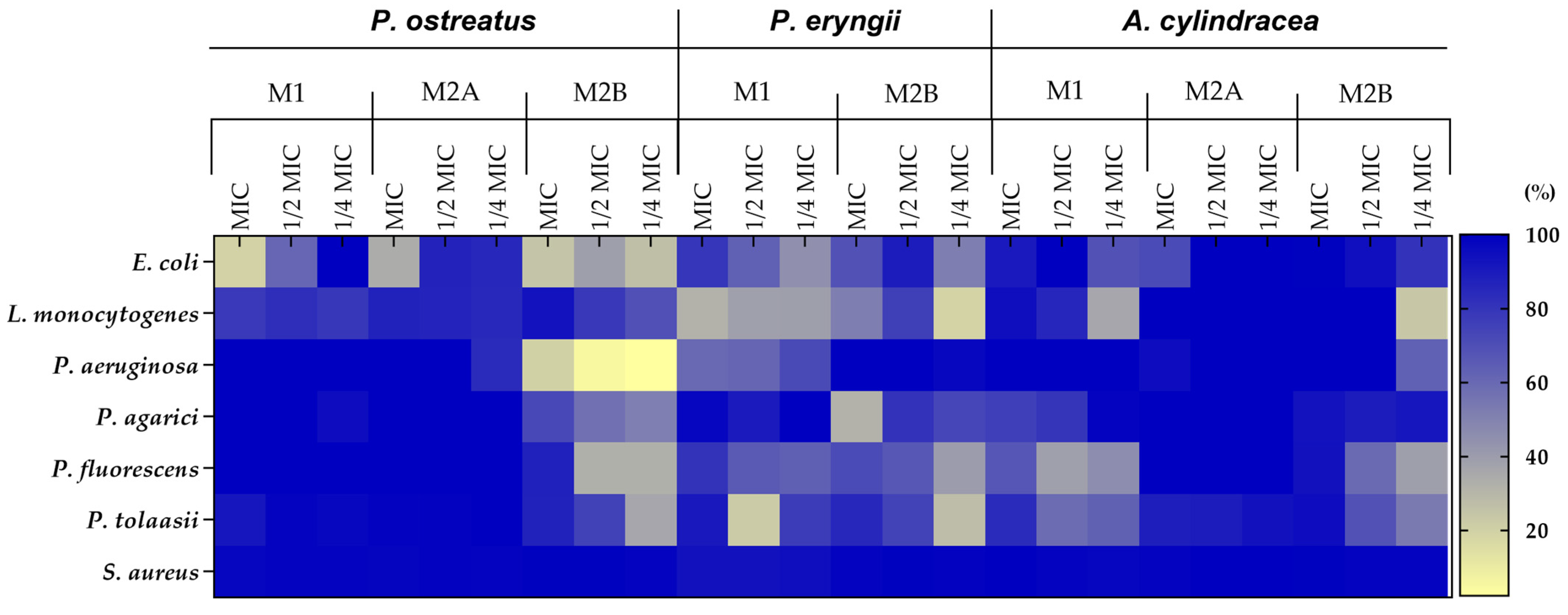 Applsci 15 01551 g004