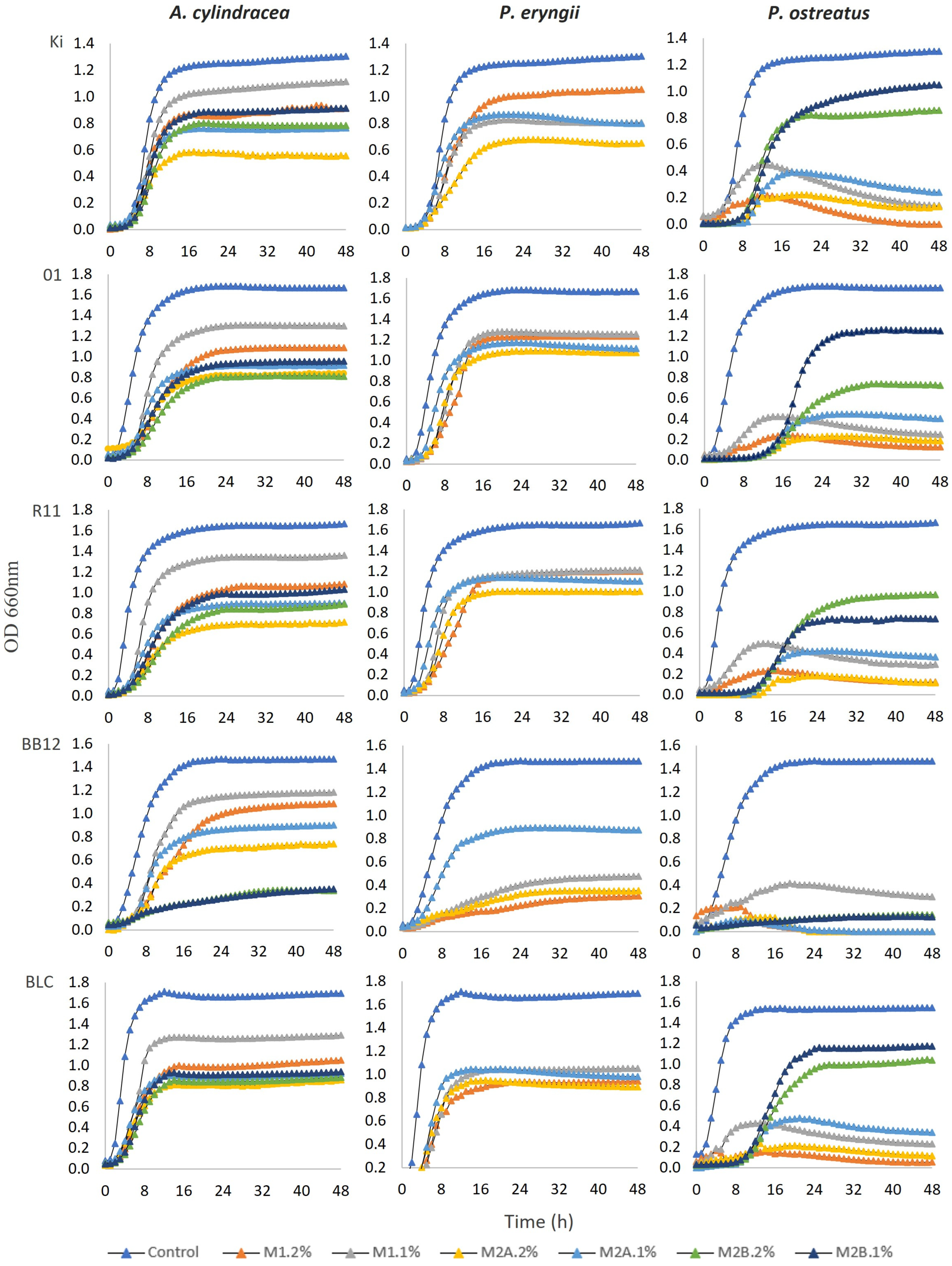 Applsci 15 01551 g005