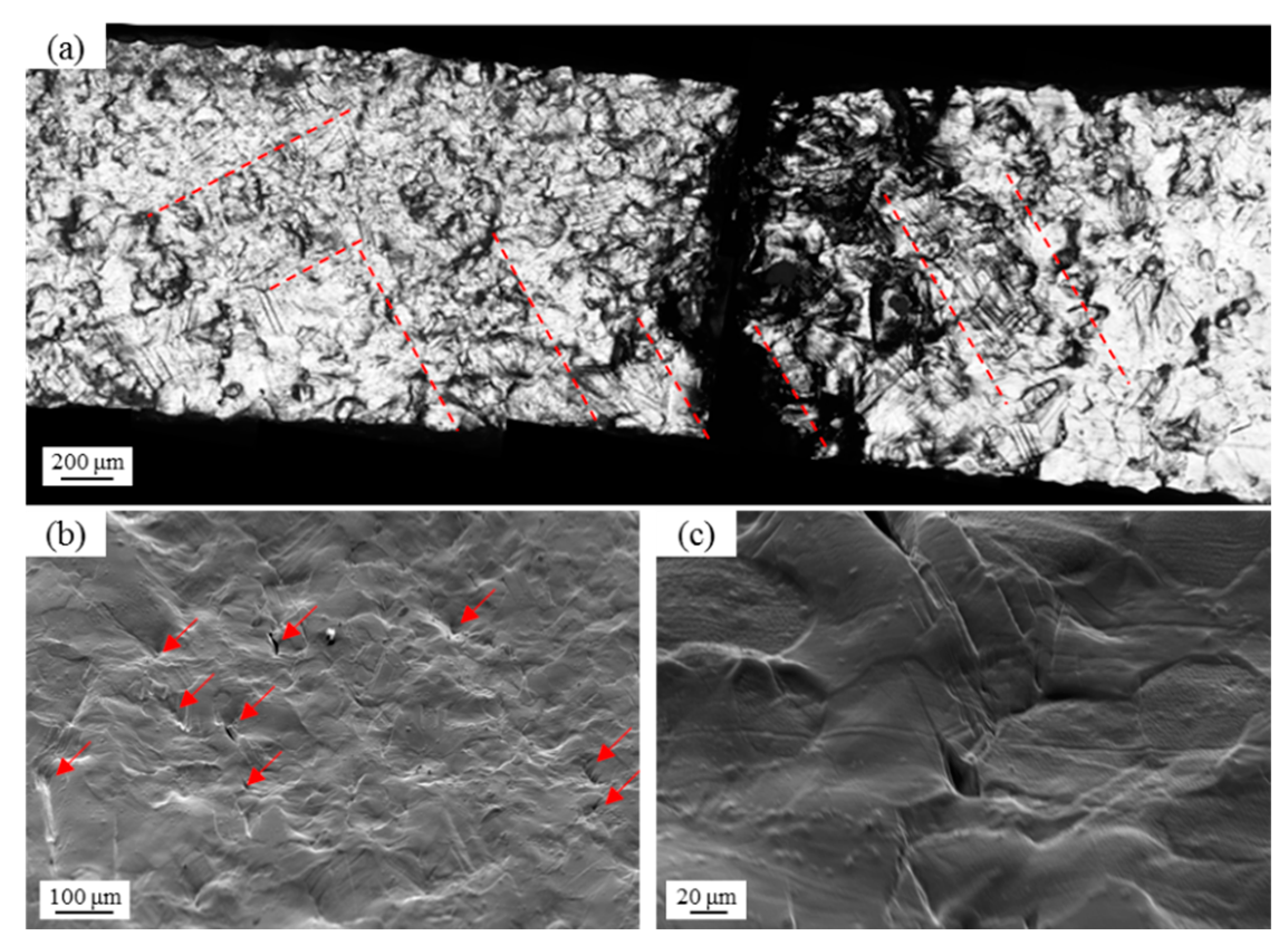 Applsci 15 01571 g006